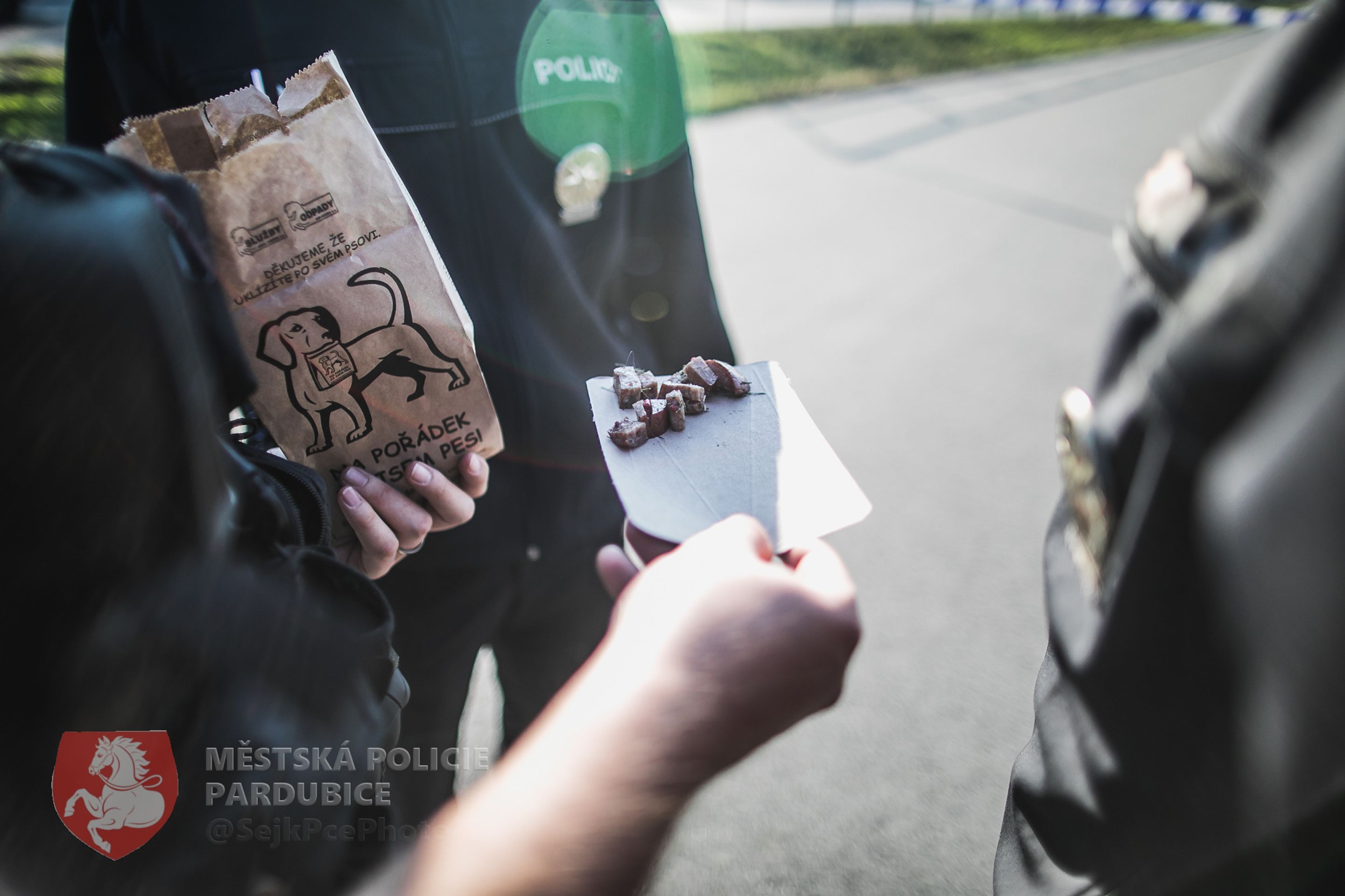 Jedovaté návnady v Pardubicích - 3 - GALERIE: V Pardubicích se objevily otrávené návnady (5/7)