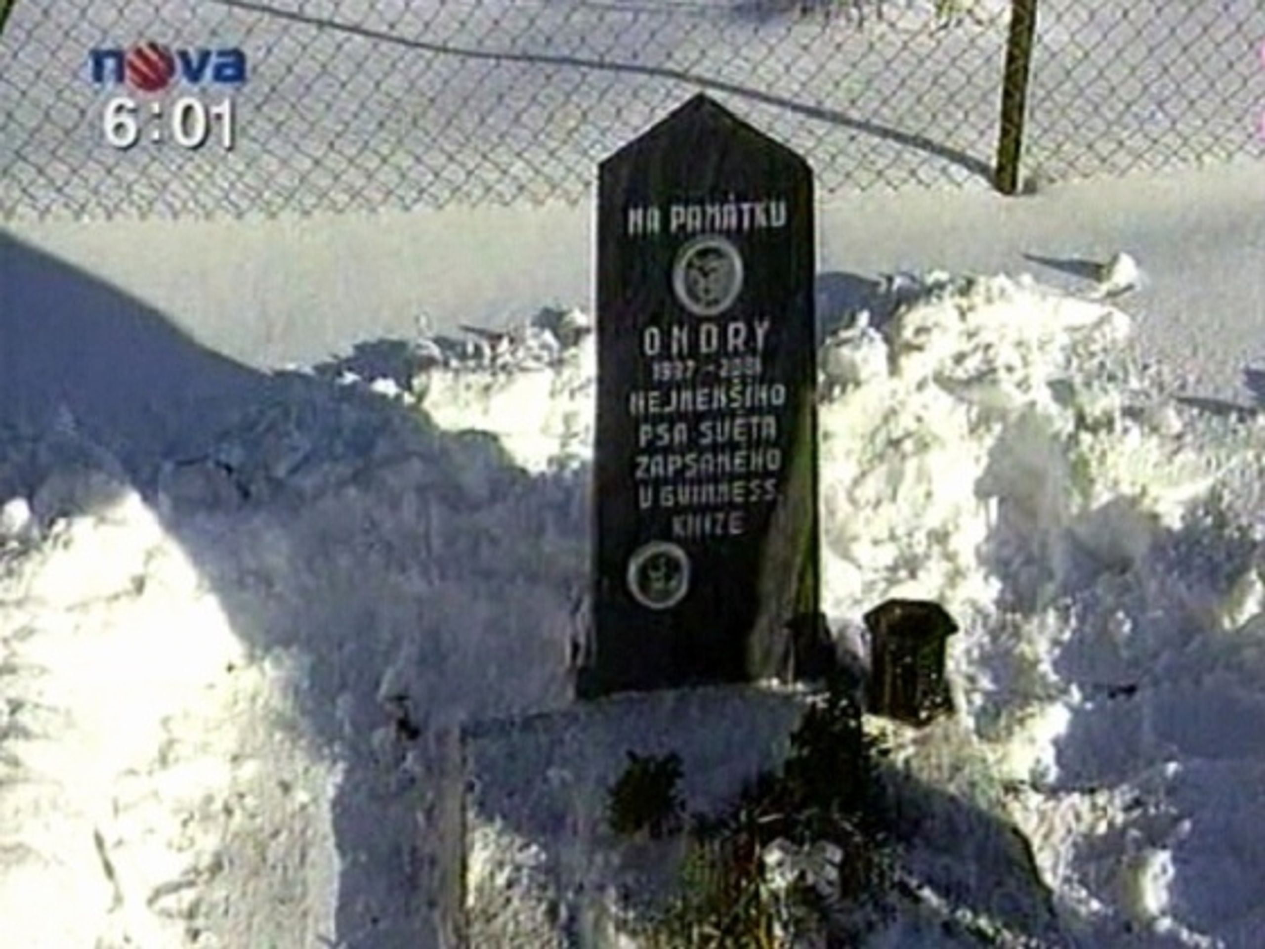 Hrobeček čivavy Ondry - Soud o čivavu opět otevřen (2/2)
