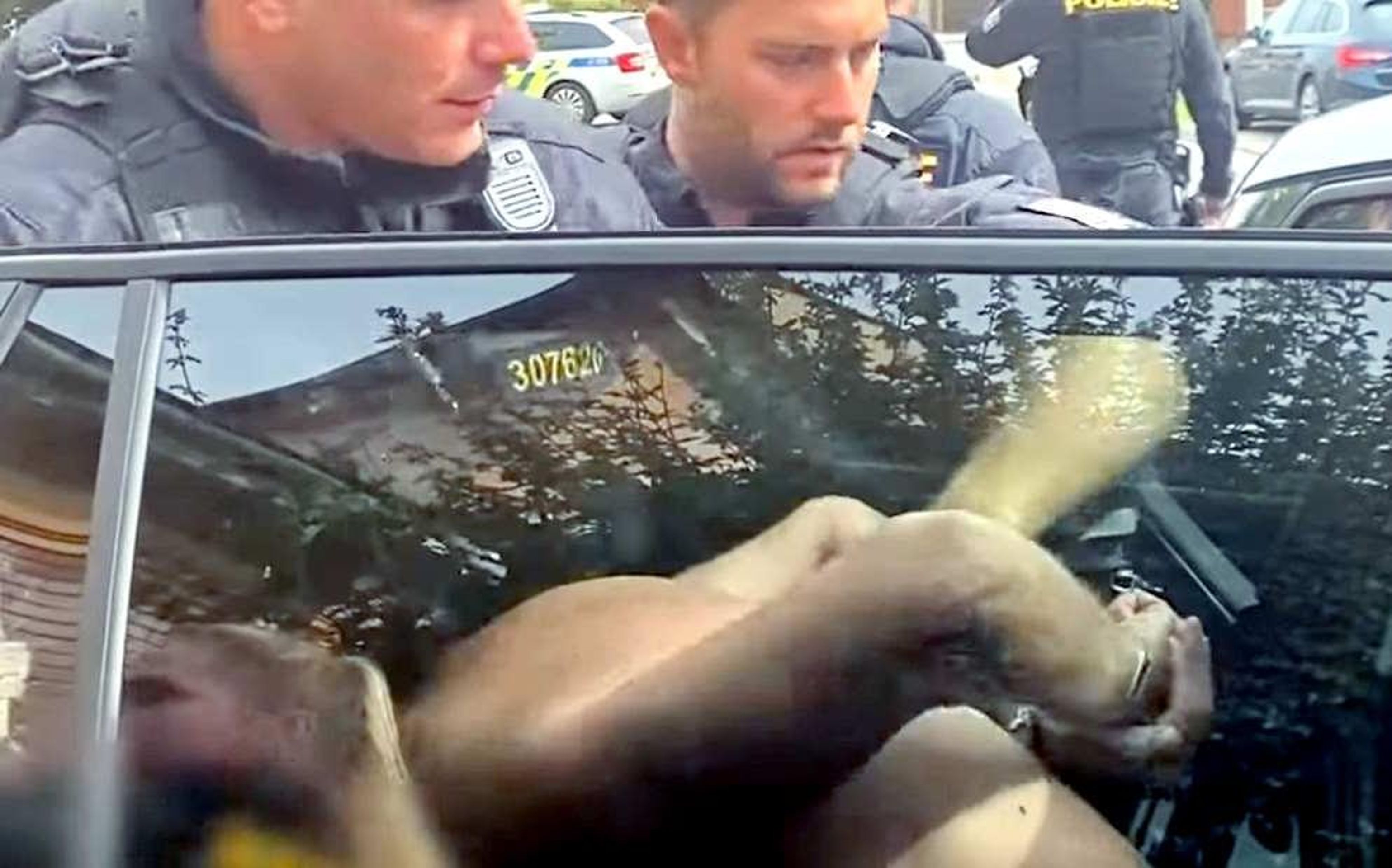 Zadržení únosce pětiměsíčního chlapečka (2) - Zadržení únosce (5/8)