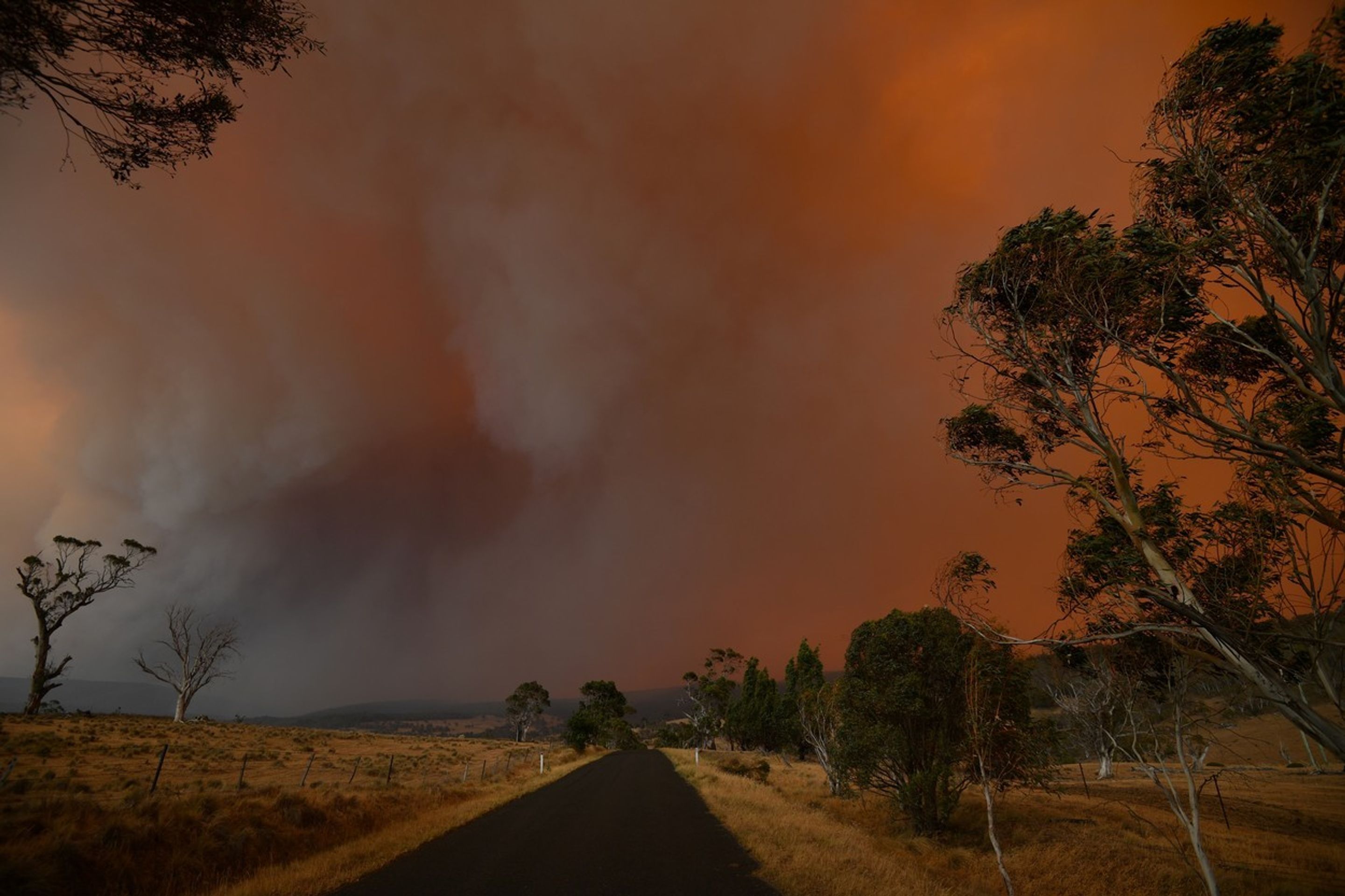 Ničivé požáry v Austrálii se nedaří dostat pod kontrolu - 4 - GALERIE: Požáry v Austrálii se nedaří dostat pod kontrolu (4/8)