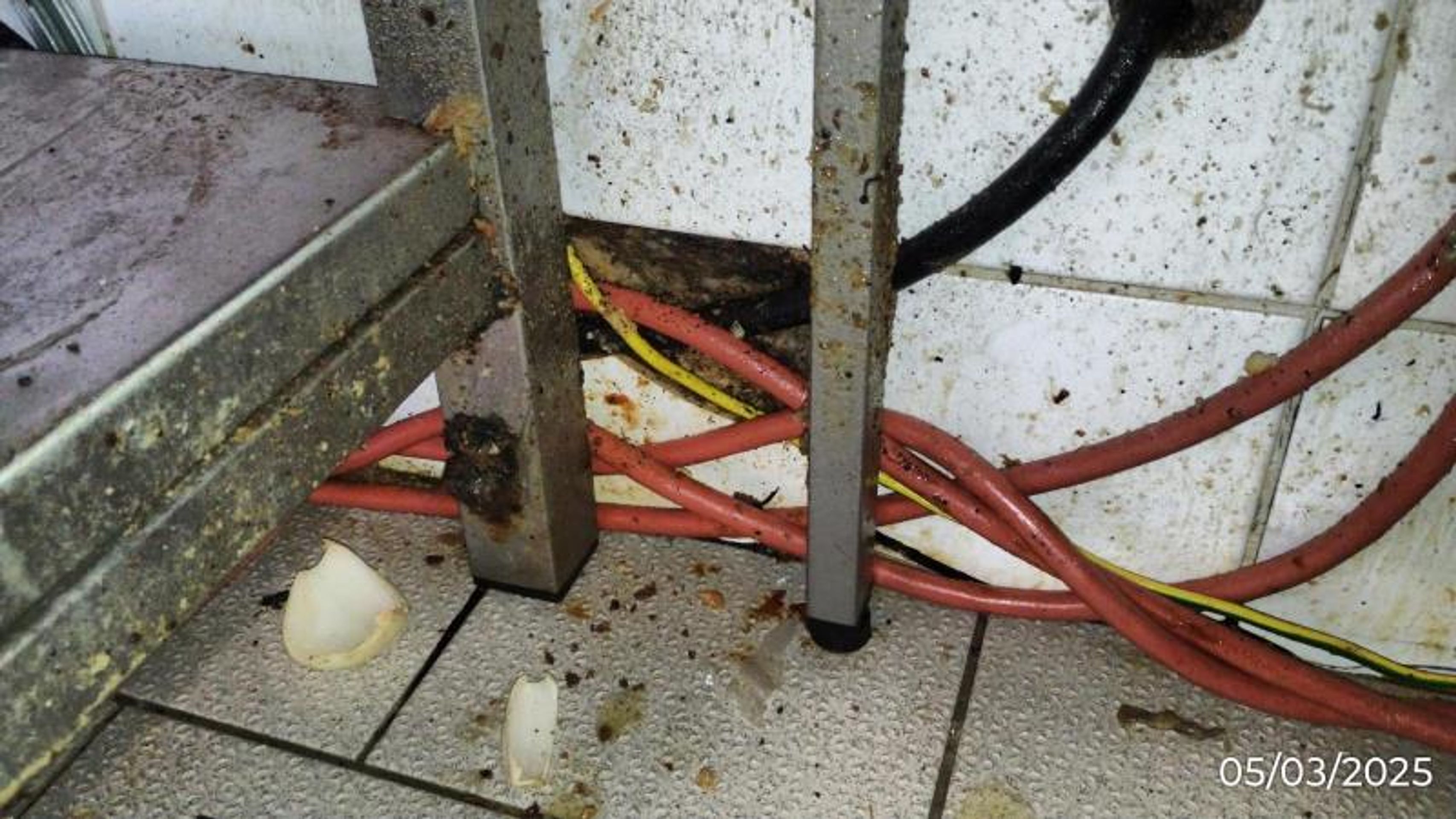 Restaurace Hraničná, Kraslice (9) - Provozovny s vážnými hygienickými nedostatky (7/70)