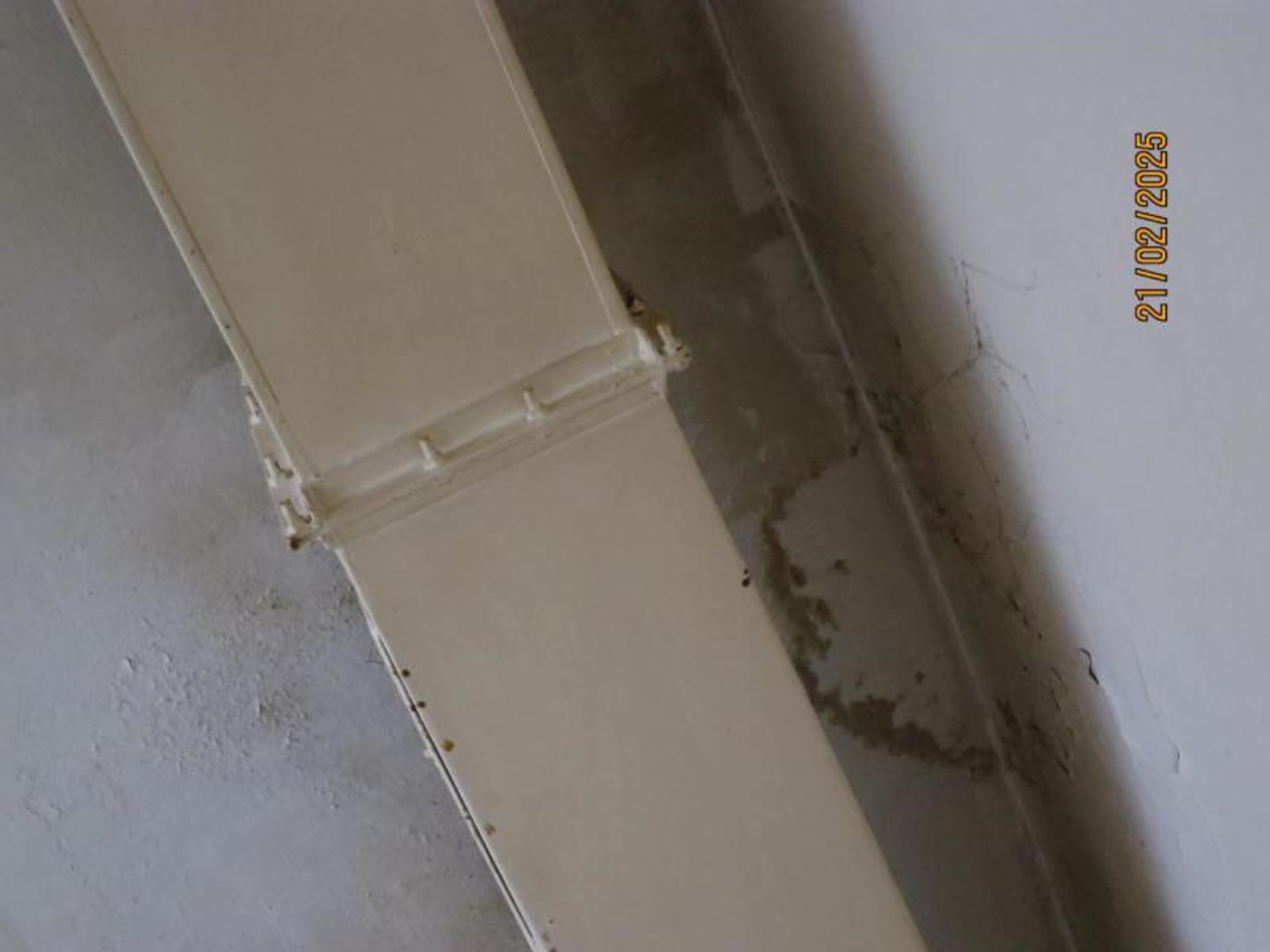 Bistro Bamboo, Šumperk - Provozovny s vážnými hygienickými nedostatky (67/70)