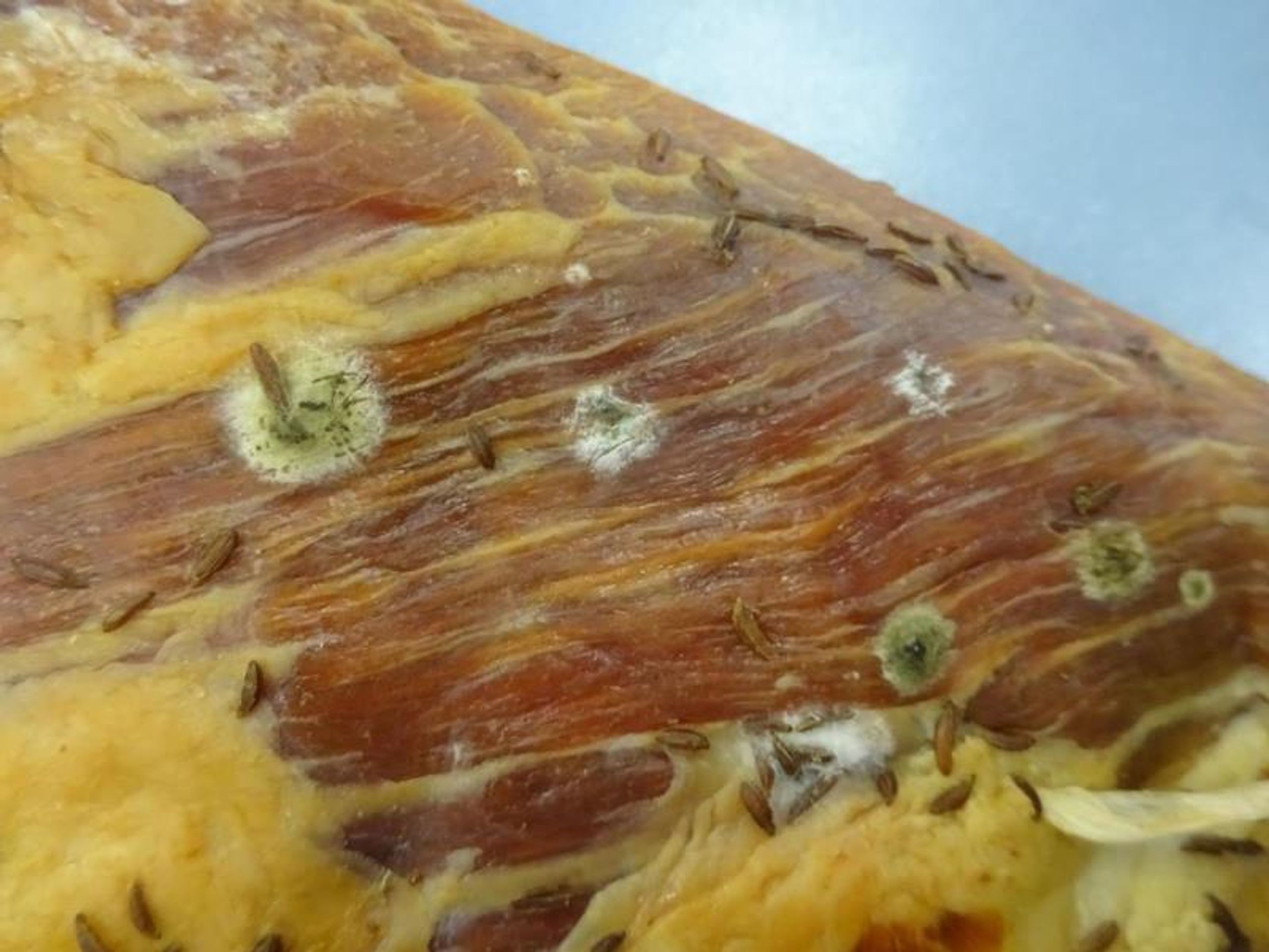 SLOVENSKÁ GAZDOVSKÁ SLANINA (4) - Závadné potraviny (9/14)