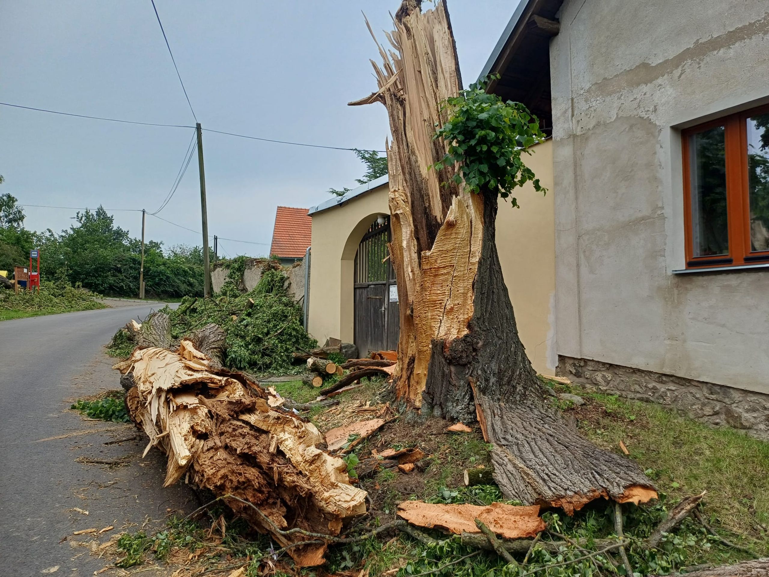 Sedlčany se vzpamatovávají z vichřice (7) - Sedlčany se vzpamatovávají z vichřice (3/38)