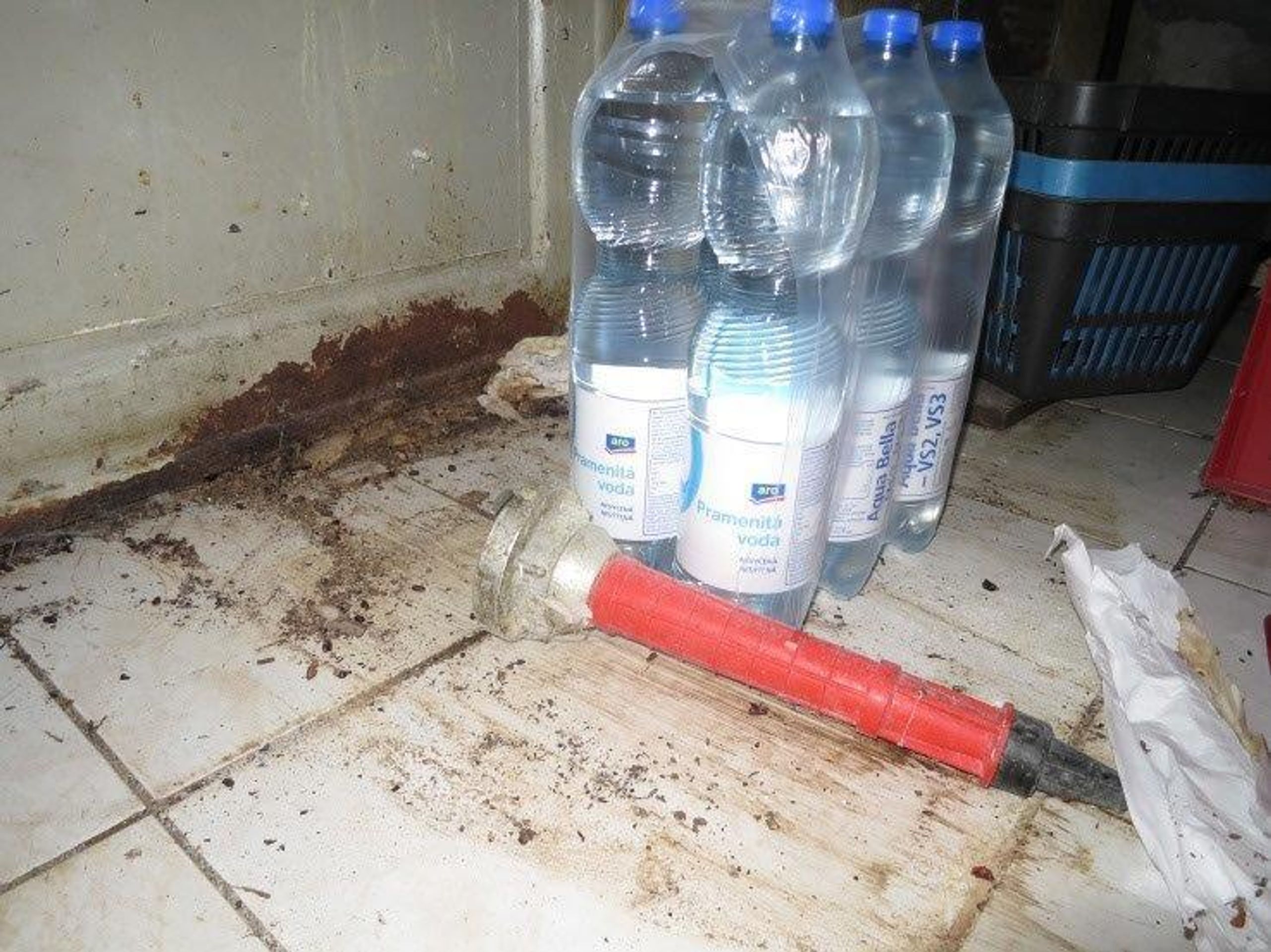 Hrůzné záběry z brněnského bistra u nádraží - 1 - GALERIE: Inspekce v bistru našla spoustu hmyzu (1/6)