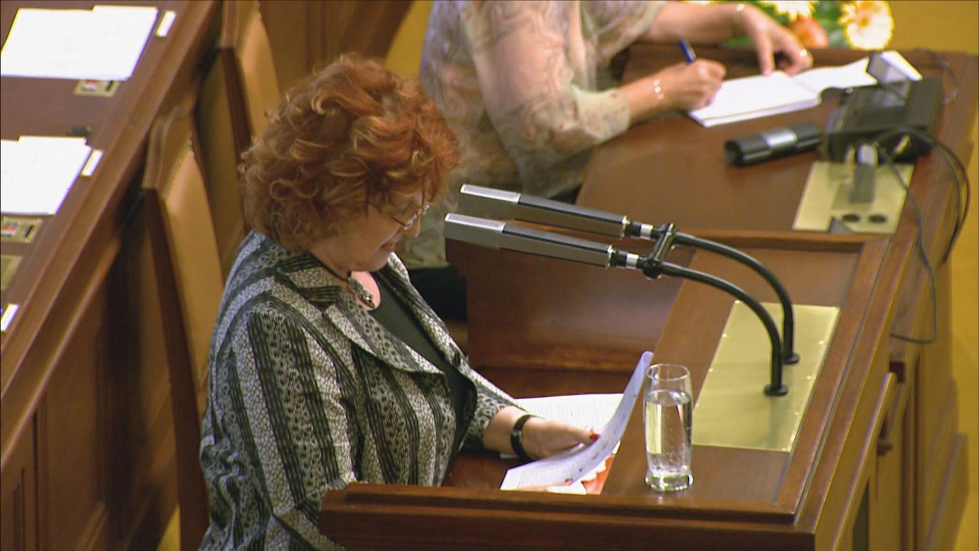 Vlasta Parkanová - Vlasta Parkanová (6/7)
