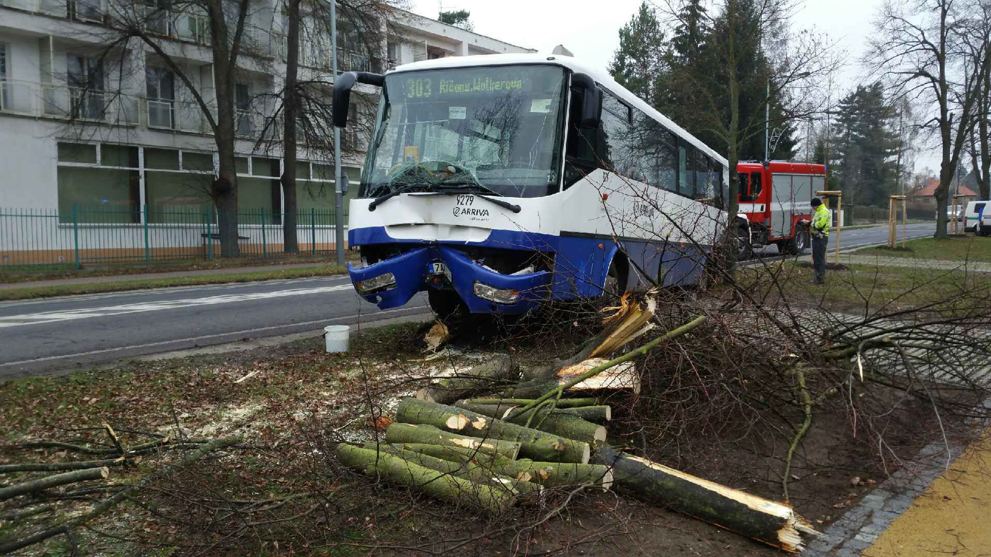 Řidič autobusu dostal infarkt a narazil do stromu - 1 - GALERIE: Řidič autobusu dostal infarkt a narazil do stromu (1/3)