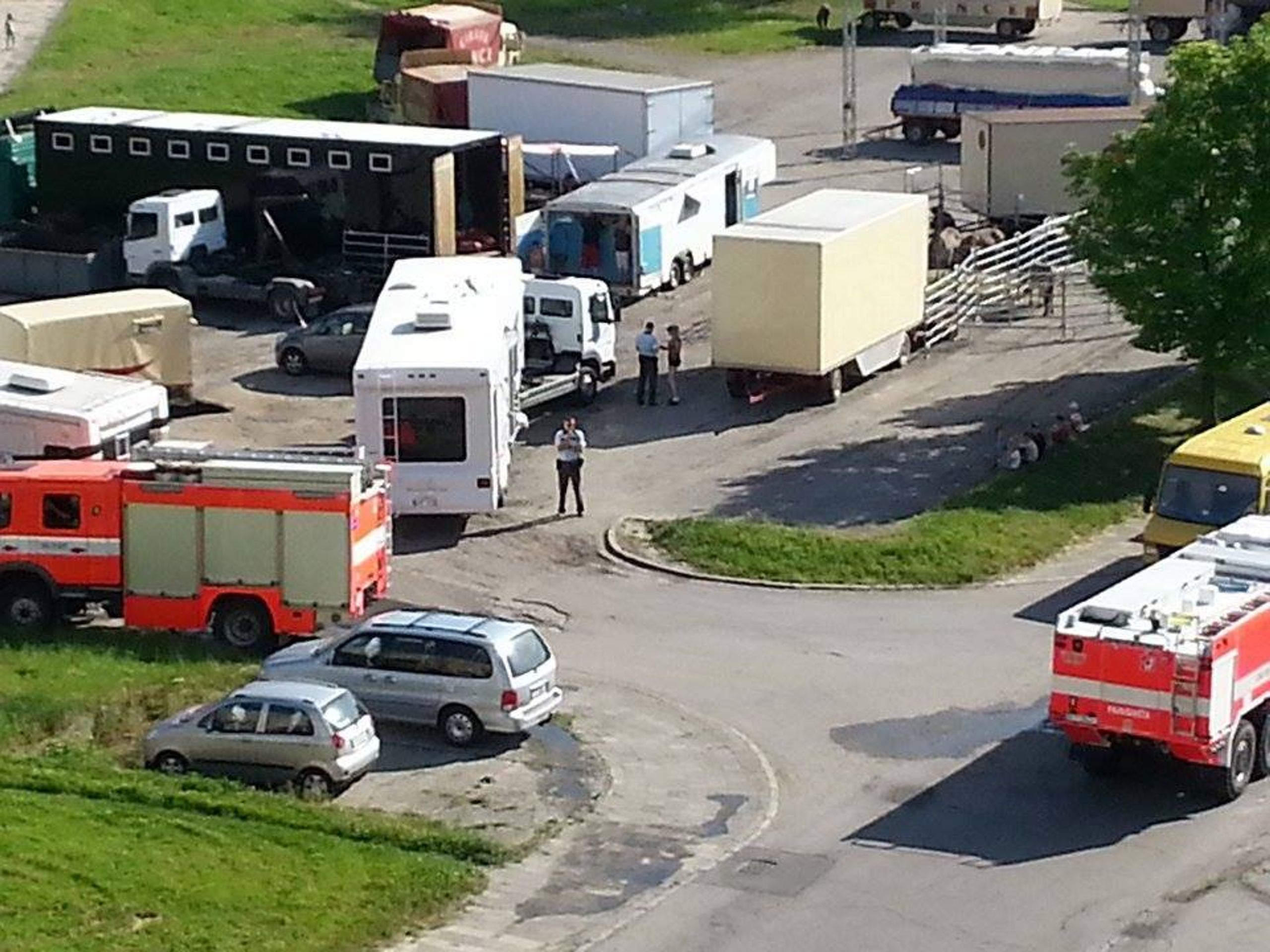 Lachtan ve vedrech nepřežil převoz do karvinského cirkusu, dalšího zachránili hasiči - GALERIE: Lachtan ve vedrech nepřežil převoz do karvinského cirkusu (1/4)