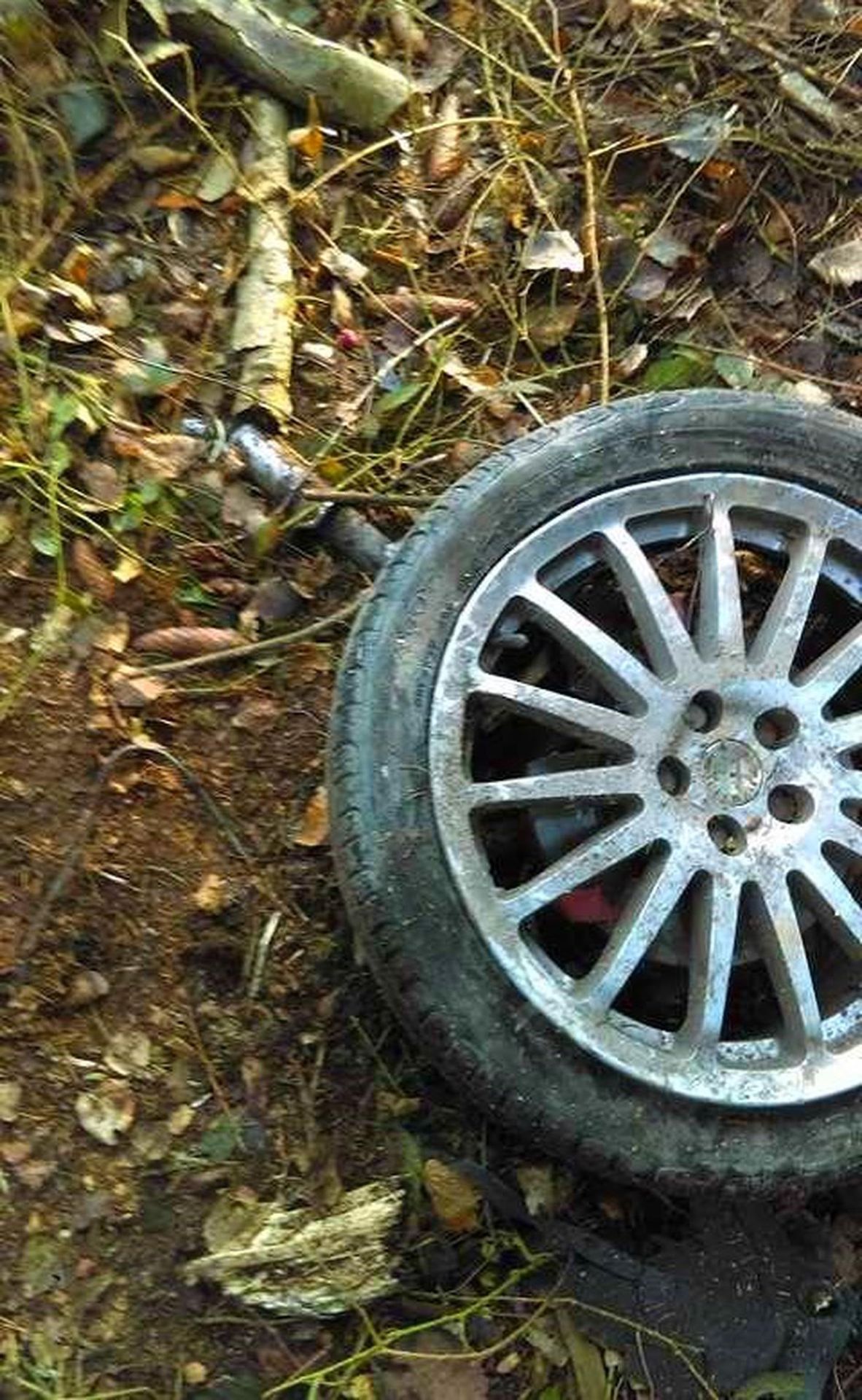 Auto se rozpadlo, řidič přežil - 3 - GALERIE: Drsná nehoda na Plzeňsku (2/5)