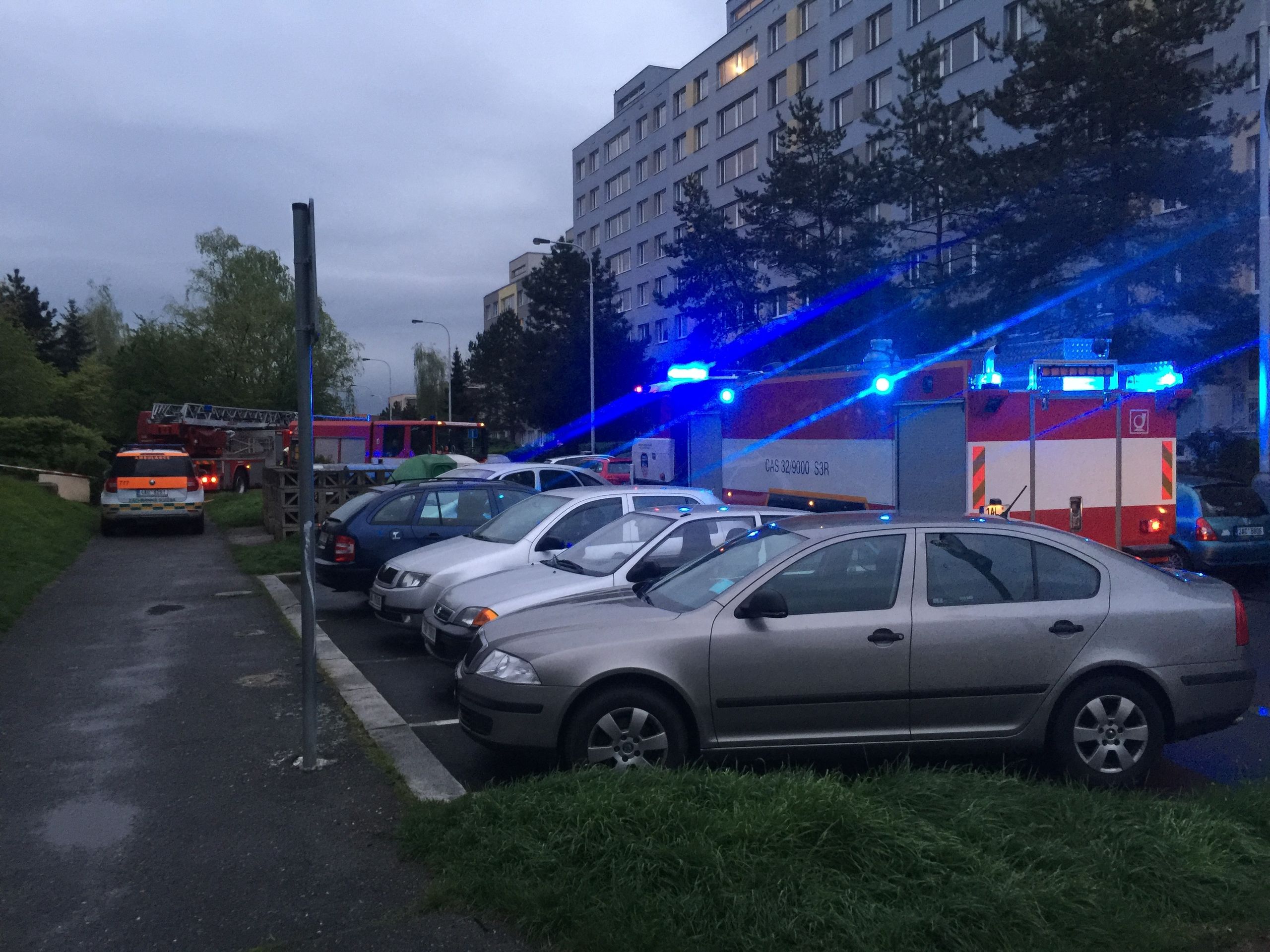 Při požáru na Hájích v Praze zachraňovali papouška, který se nadýchal zplodin - 1 - GALERIE: Při požáru na Hájích v Praze zachraňovali papouška, který se nadýchal zplodin (7/7)