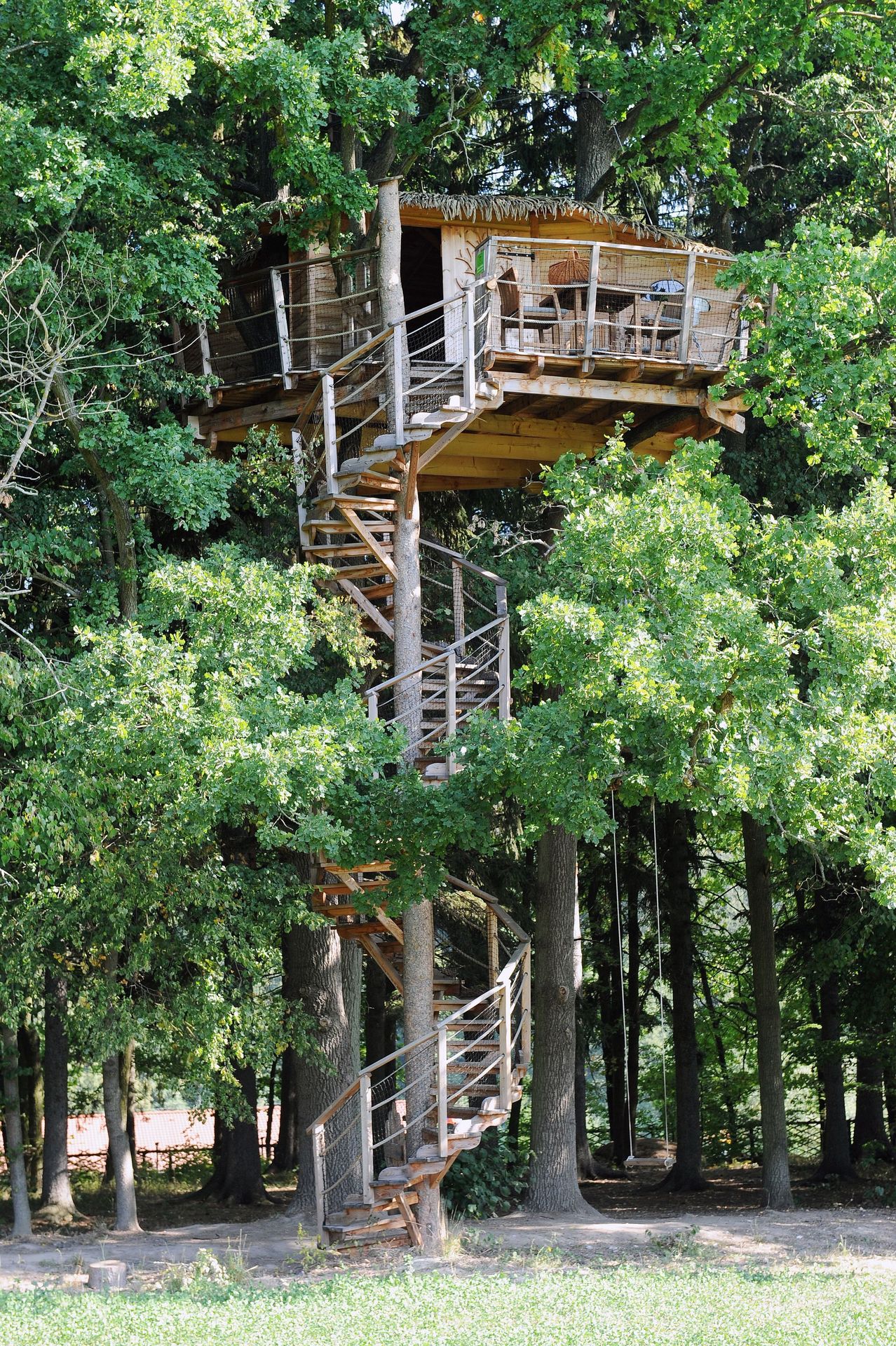Tree house - 14 - GALERIE: Tree house (2/15)