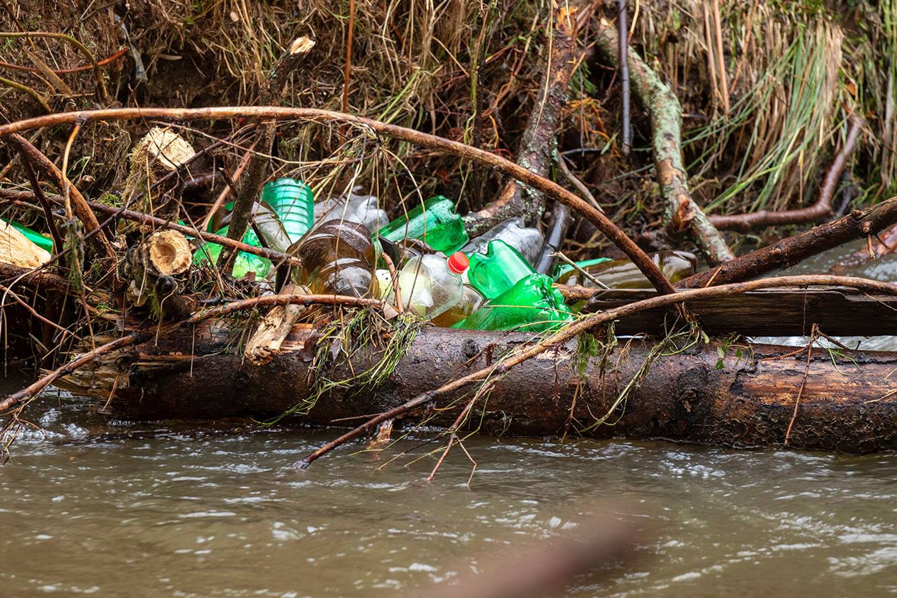 Plasty v NP České Švýcarsko - GALERIE: Záplava plastů v Národním parku České Švýcarsko (6/8)