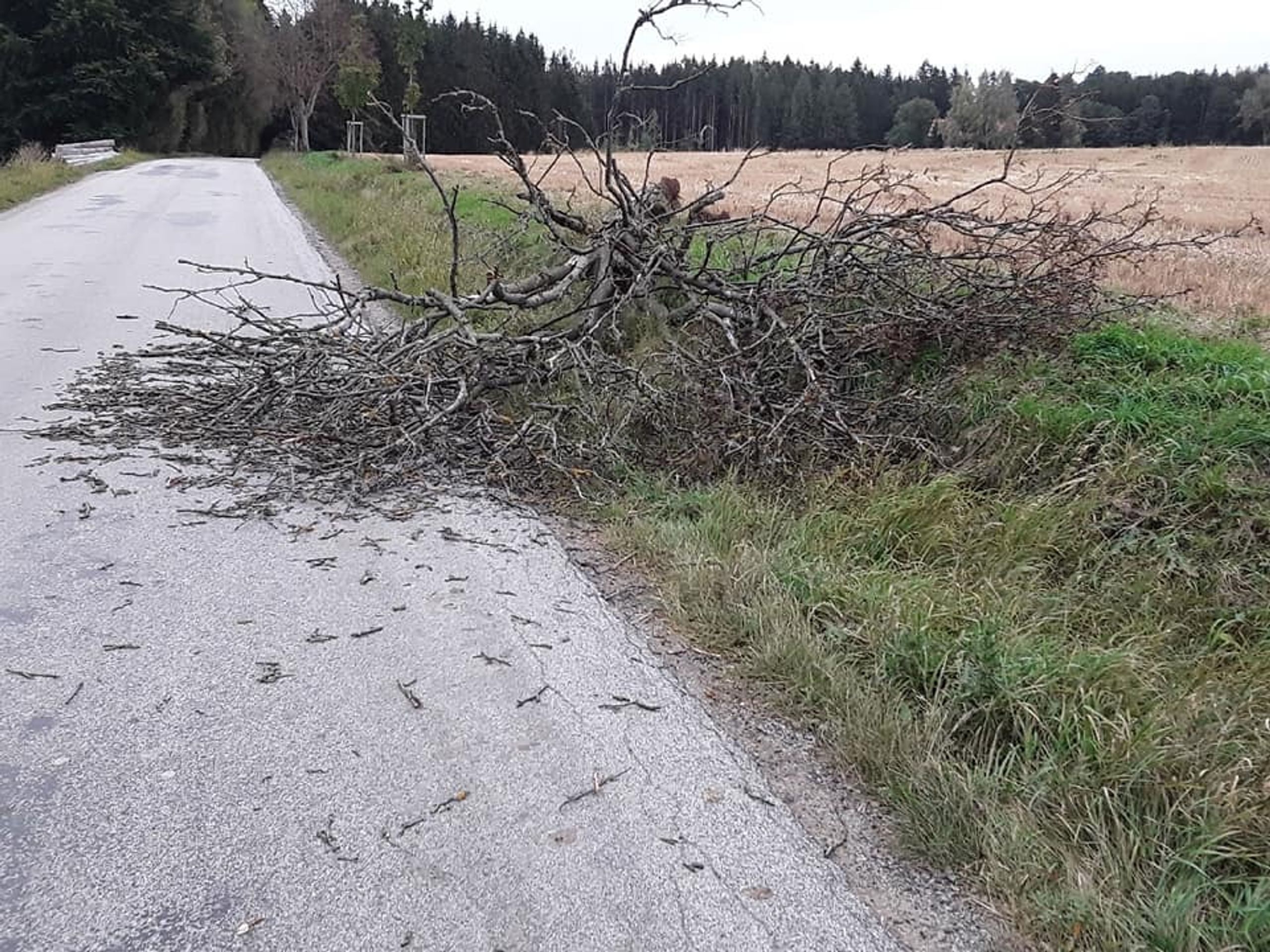 Vítr na Vysočině - 5 - GALERIE: Silný vítr udeřil v krajích po celém Česku (7/31)