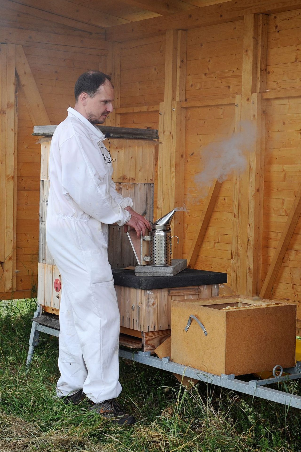 Včely na pražském letišti - 5 - GALERIE: Včely na pražském letišti (21/25)