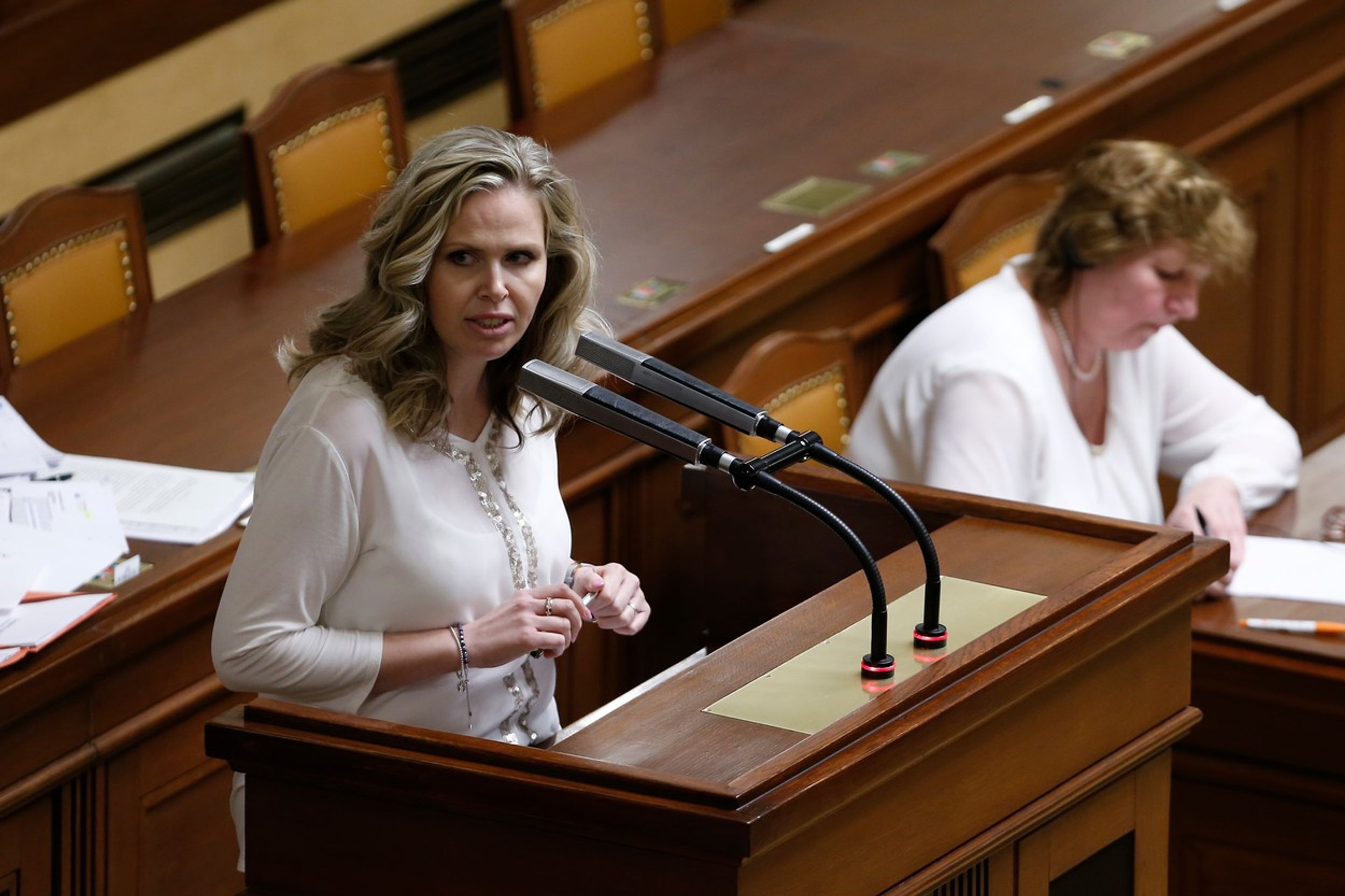 Hana Aulická Jírovcová (KSČM) - Končící poslanci (1/14)