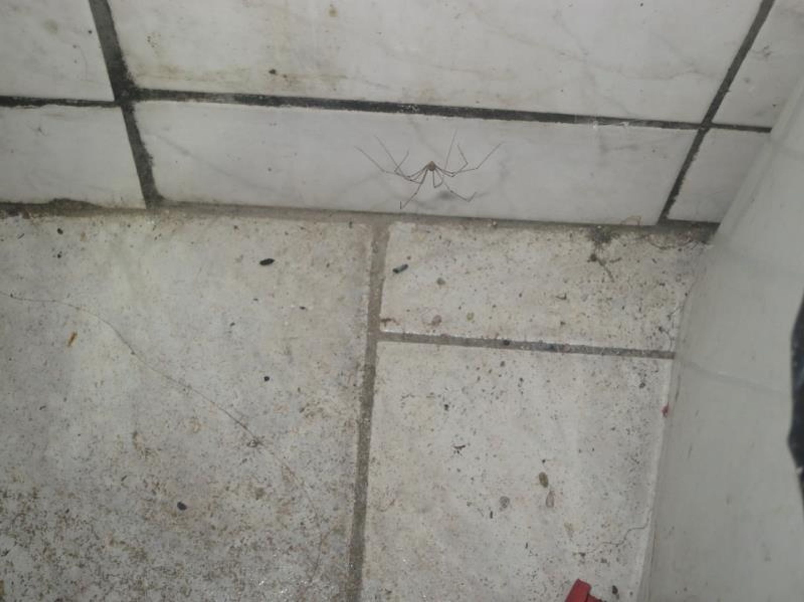 Uzavřené provozovny: Hospůdka Ředkvička, Postoloprty - 6 - GALERIE: Uzavřené provozovny: Hospůdka Ředkvička, Postoloprty (6/10)