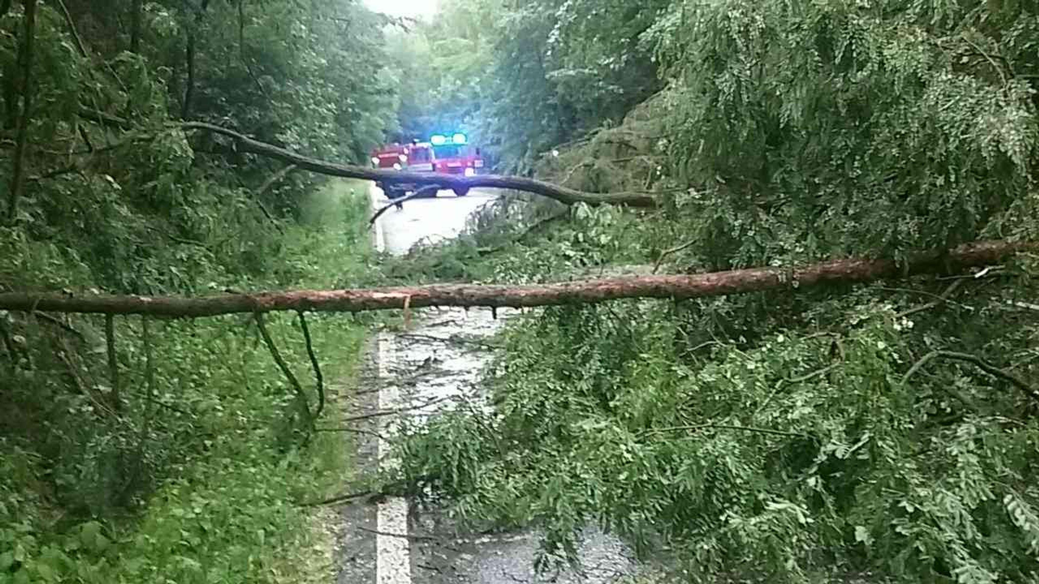 Následky bouřky na Vysočině - Následky bouřky a silného větru (5/21)