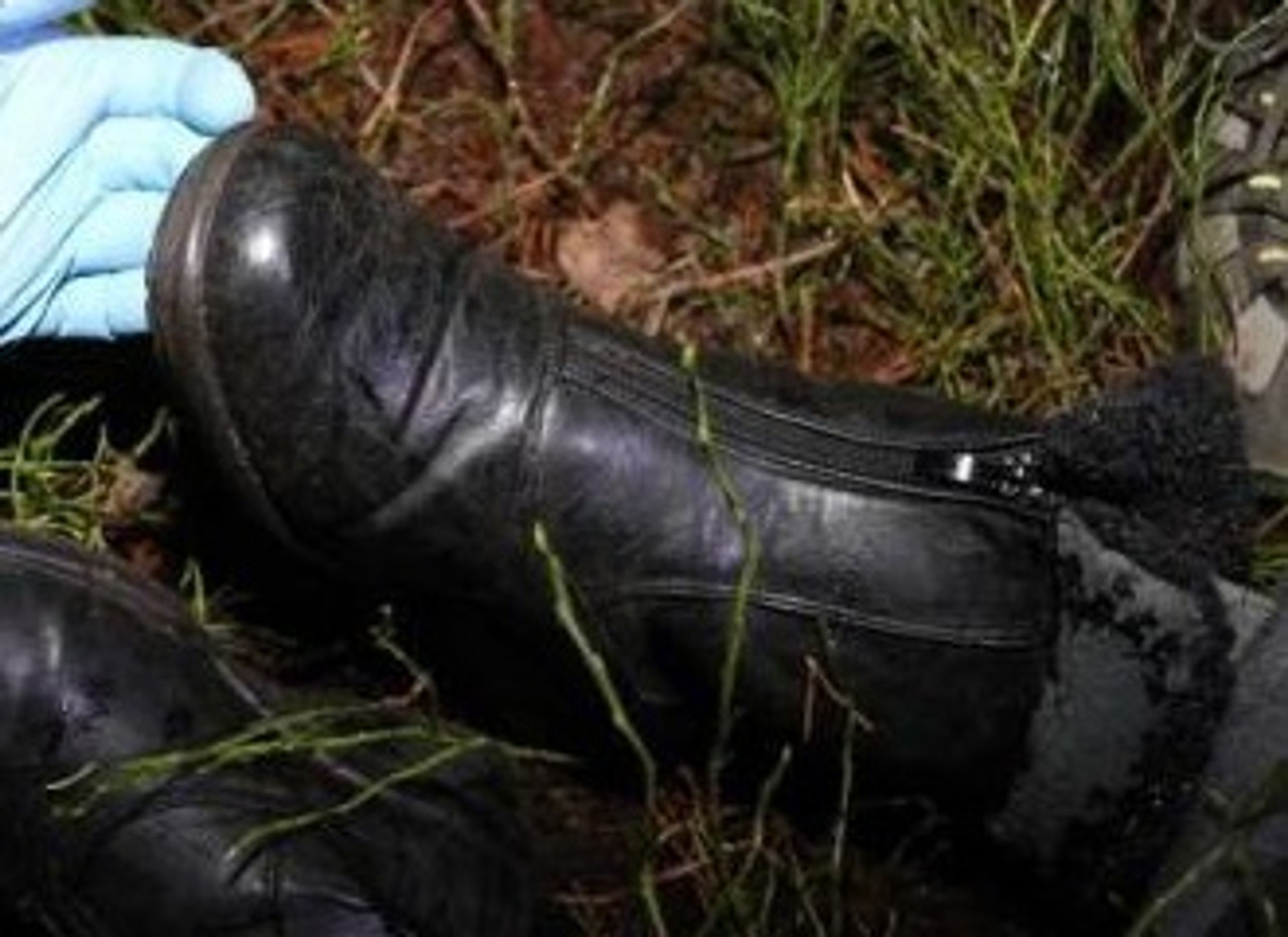Nalezené tělo ženy mezi obcemi Klokočná a Svojetice na území Prahy-východ - 9 - GALERIE: Nalezené tělo ženy mezi obcemi Klokočná a Svojetice na území Prahy-východ (8/10)
