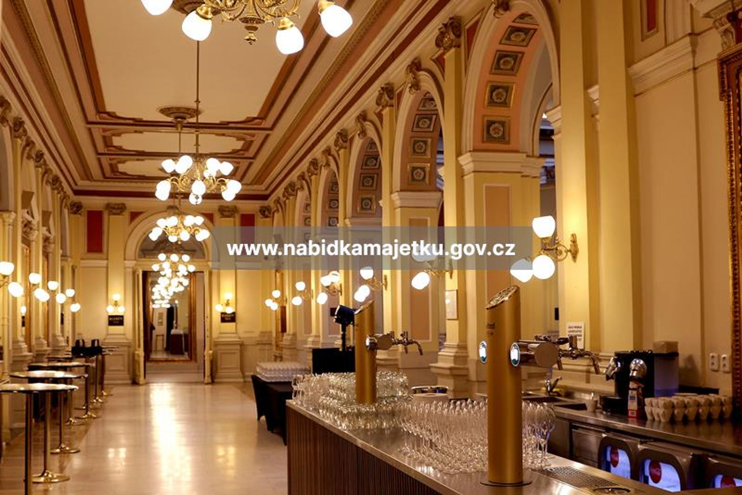 Národní dům na Vinohradech (4) - Prodej majetku (5/31)