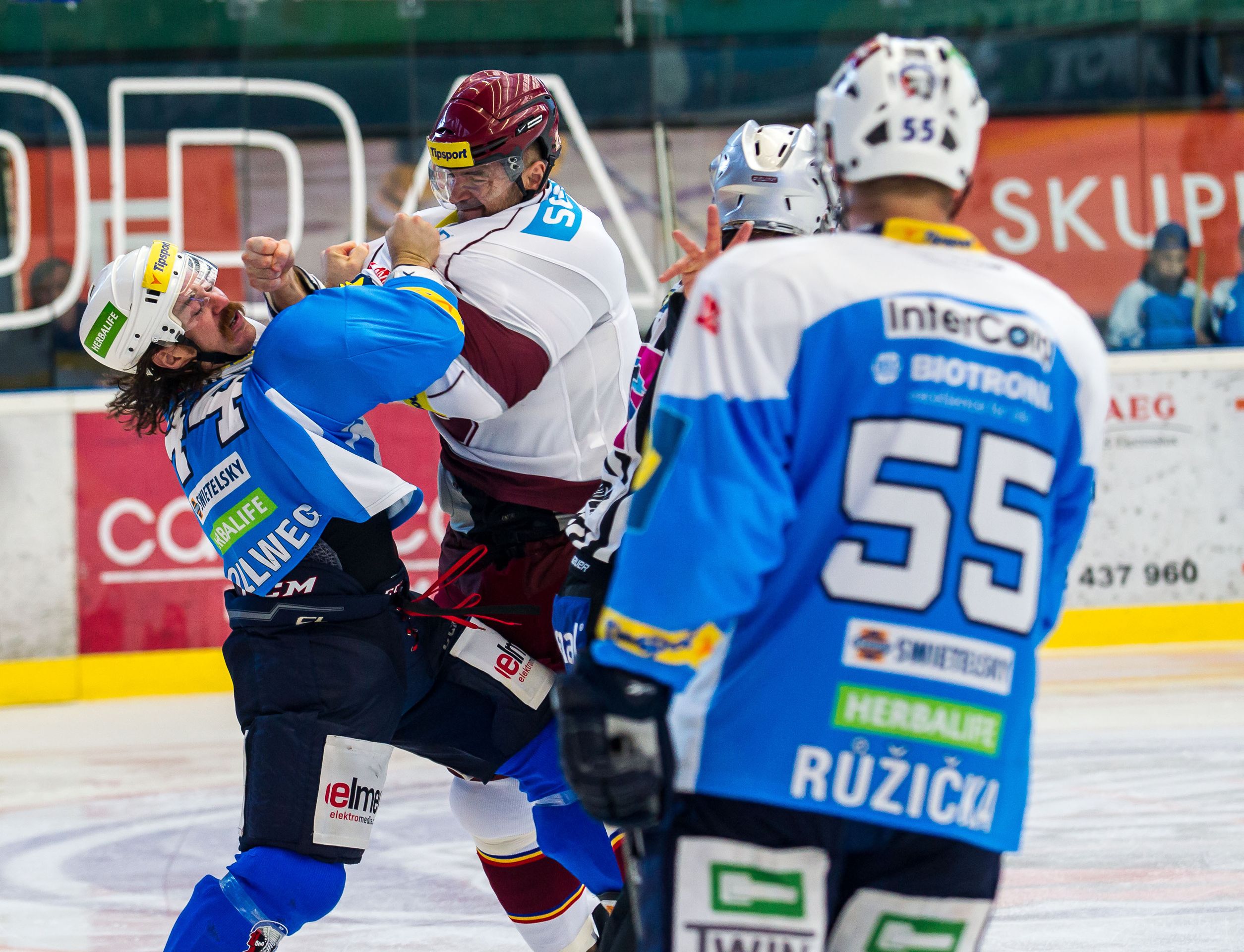 David Kočí vs. Ryan Hollweg, bitka z NHL v extralize - 4 - GALERIE: David Kočí vs. Ryan Hollweg (4/7)