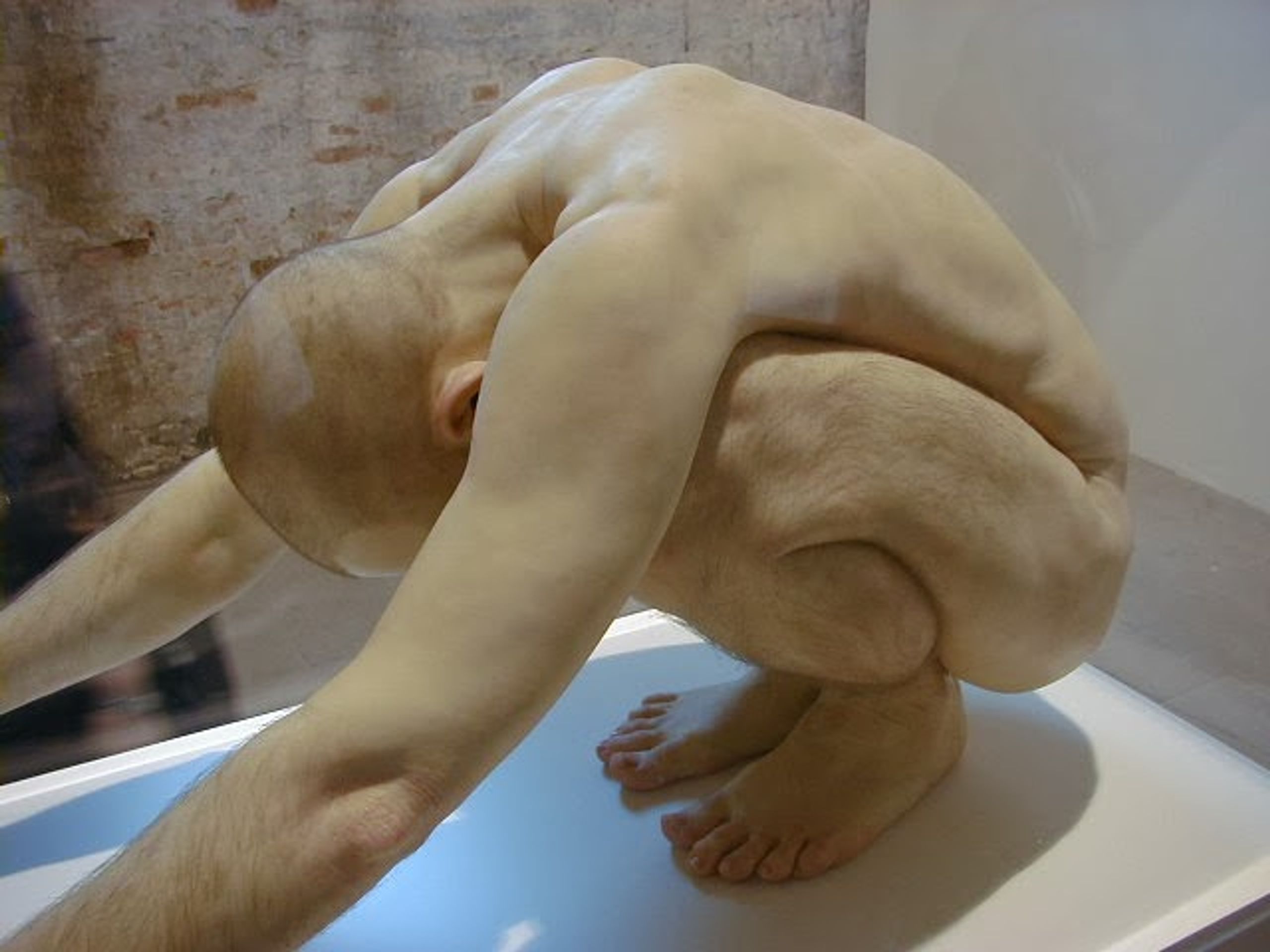 Sochy Rona Muecka - GALERIE: Realistické sochy (1/9)
