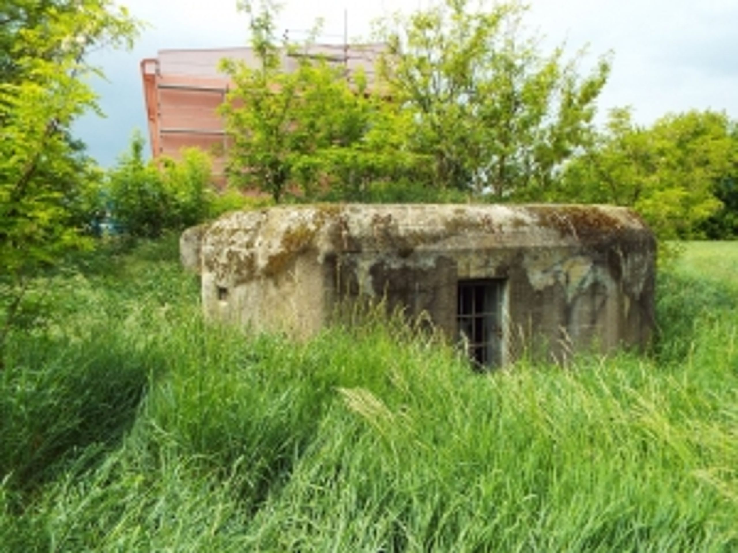 Nabídka nemovitého majetku - bunkr s pozemkem („řopík“) SLO VEČ 719OL, Mikulov - GALERIE: Nabídka nemovitého majetku (30/45)