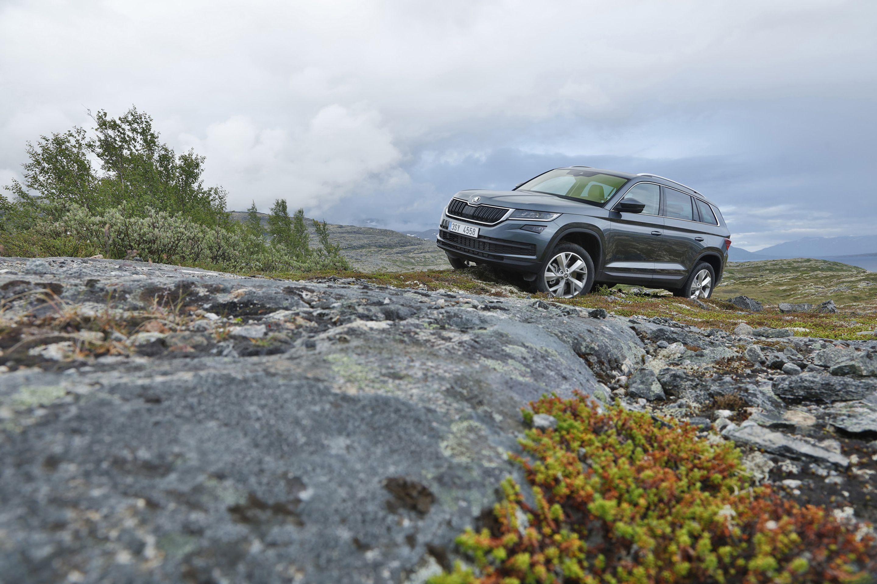 Představení vozu KODIAQ - 30 - GALERIE: Představení vozu KODIAQ (29/36)