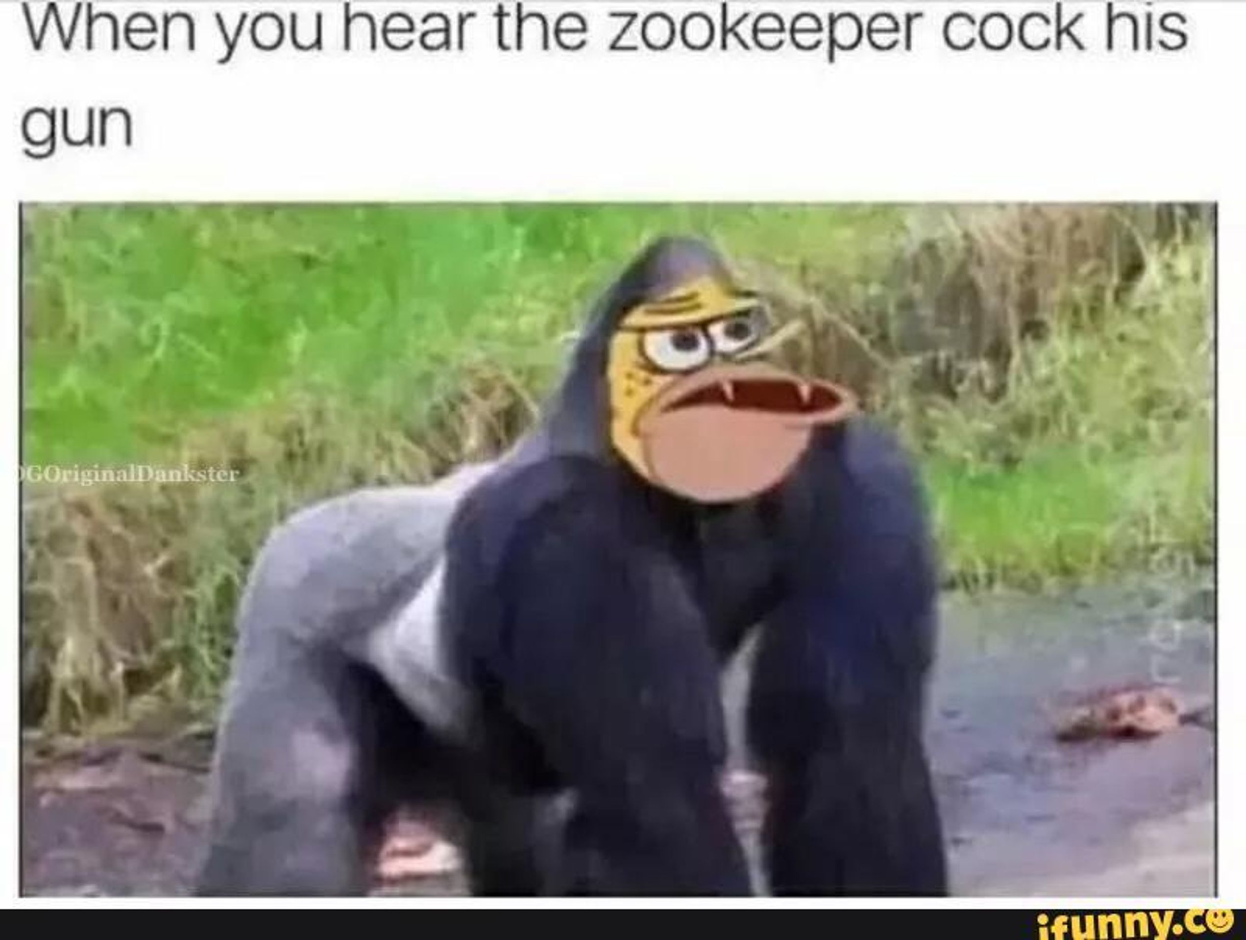 Harambe - 4 - GALERIE: Harambe (3/3)