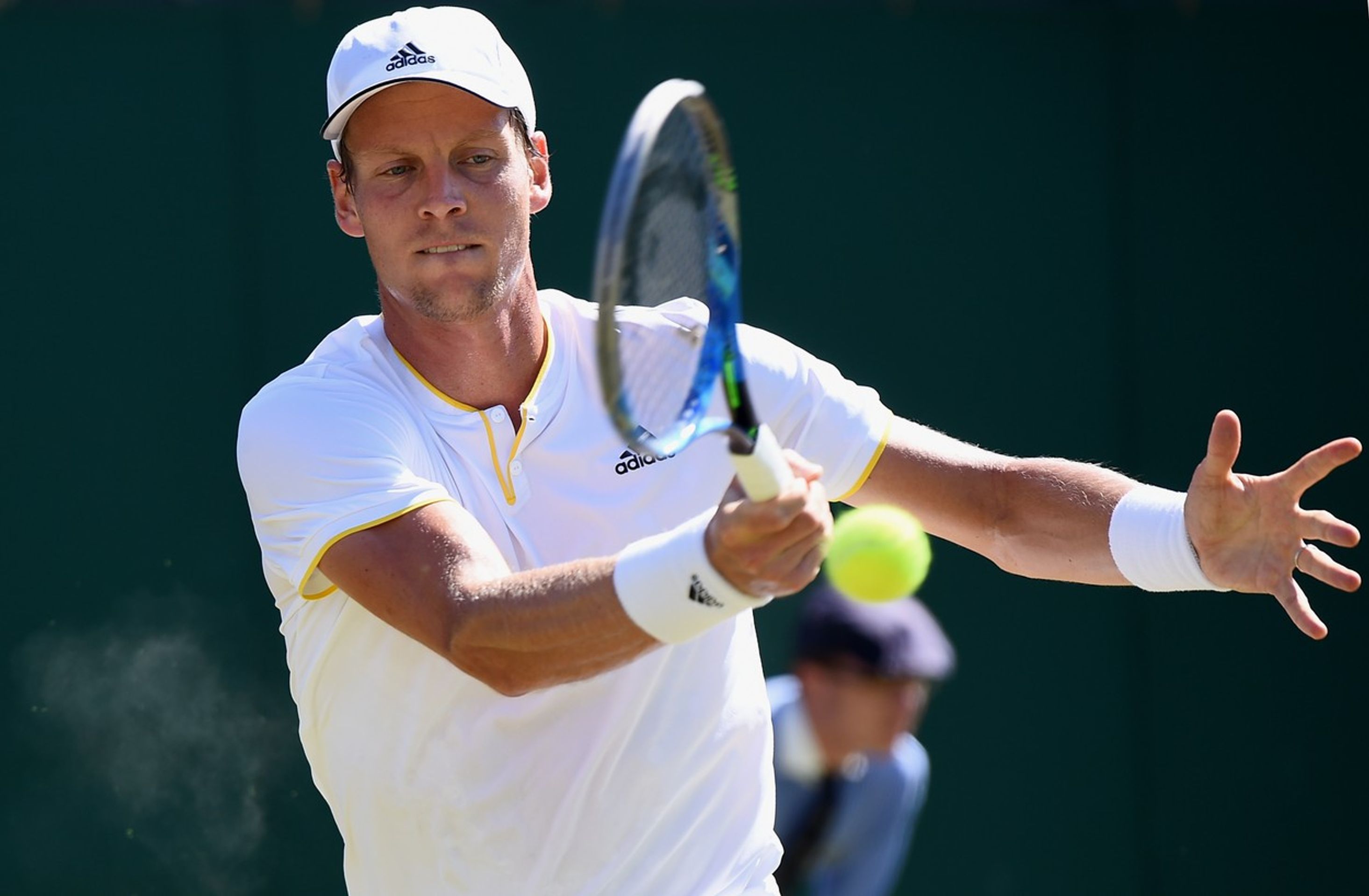 Tomáš Berdych - GALERIE: Čeští tenisté na slavném Wimbledonu (4/4)