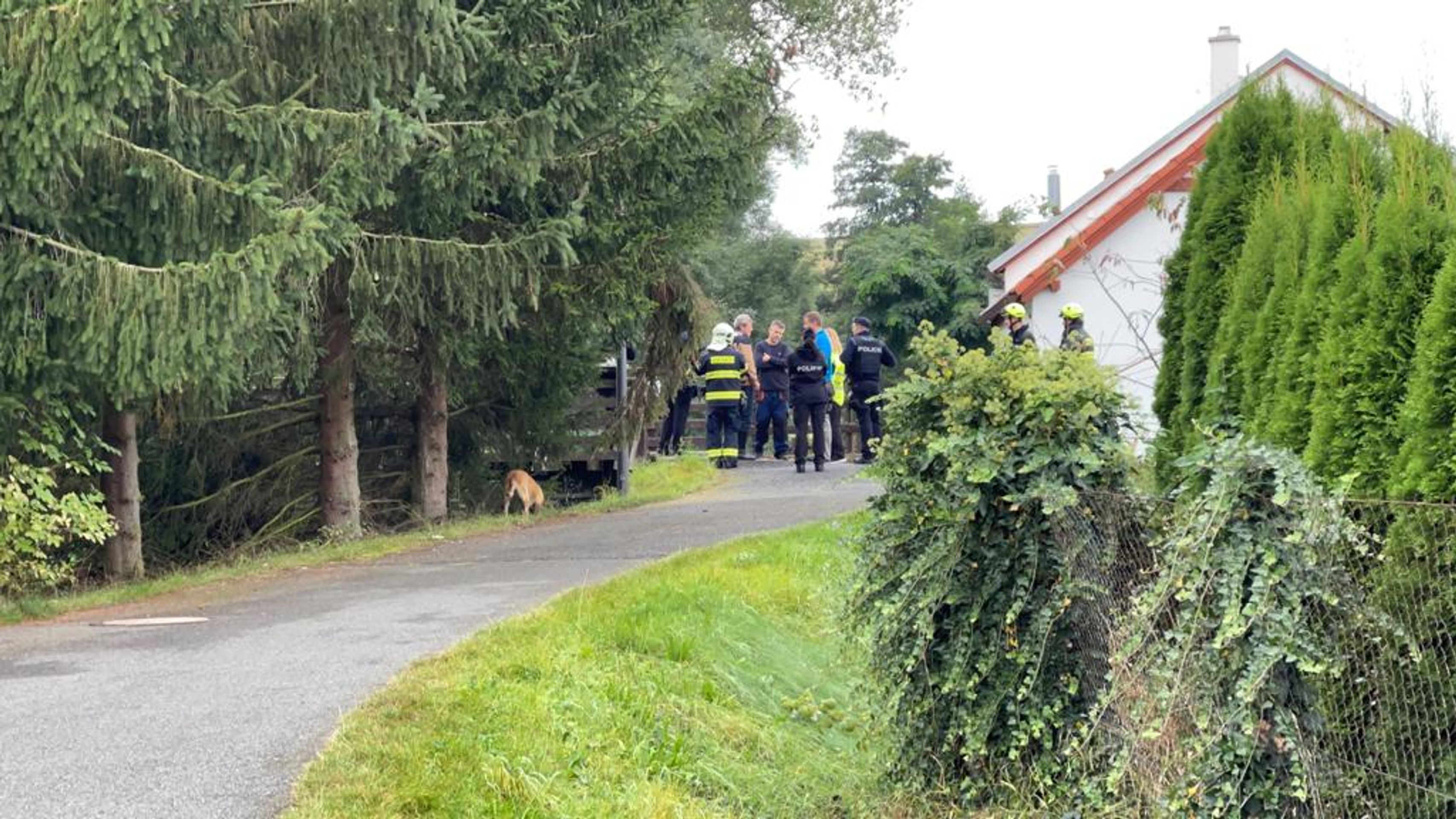 Nález mužského těla na Berounsku (7) - Nález těla v obci Stašov na Berounsku (6/11)