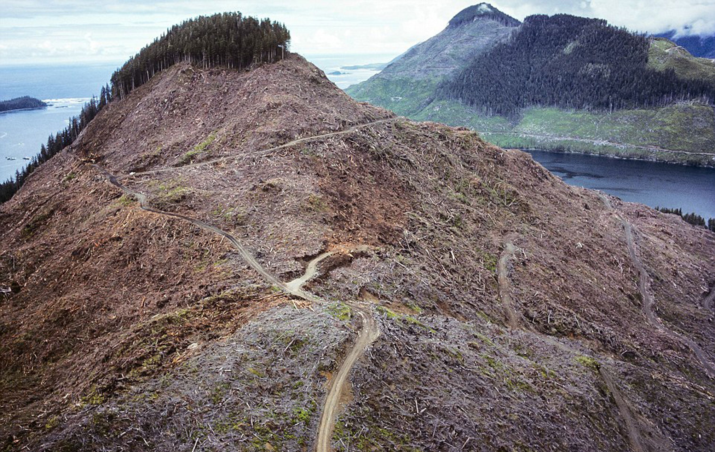Fotografie znázorňující ničivé důsledky přelidnění - Kanada - GALERIE: Fotografie znázorňující ničivé důsledky přelidnění (20/28)