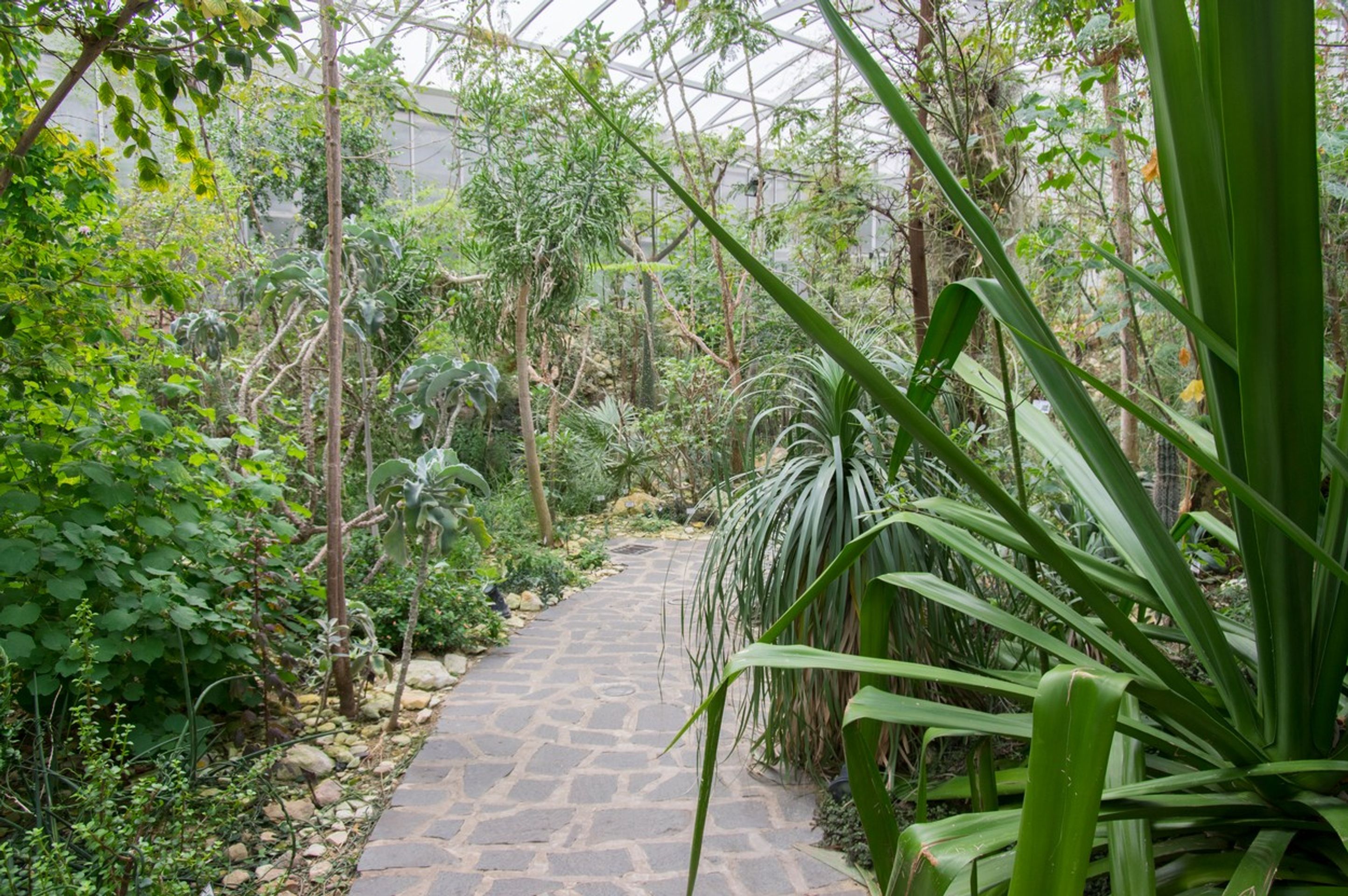 Botanická zahrada Teplice - Návrhy na výlety (3/10)