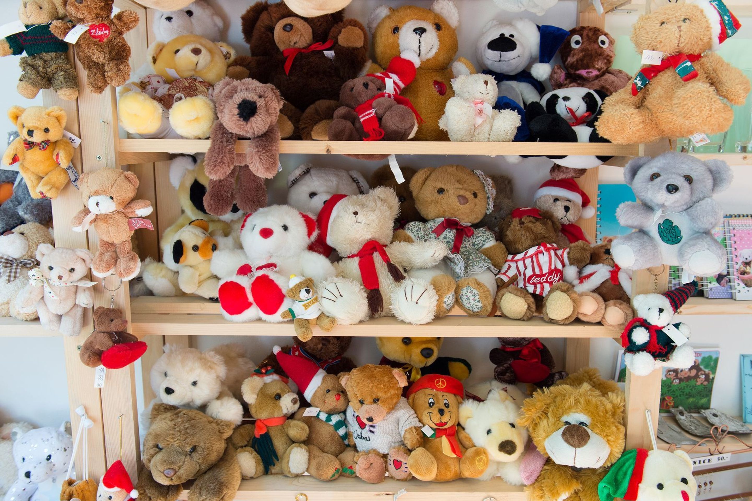 Medvědárium Praha - 2 - GALERIE: Medvědárium Praha (1/18)