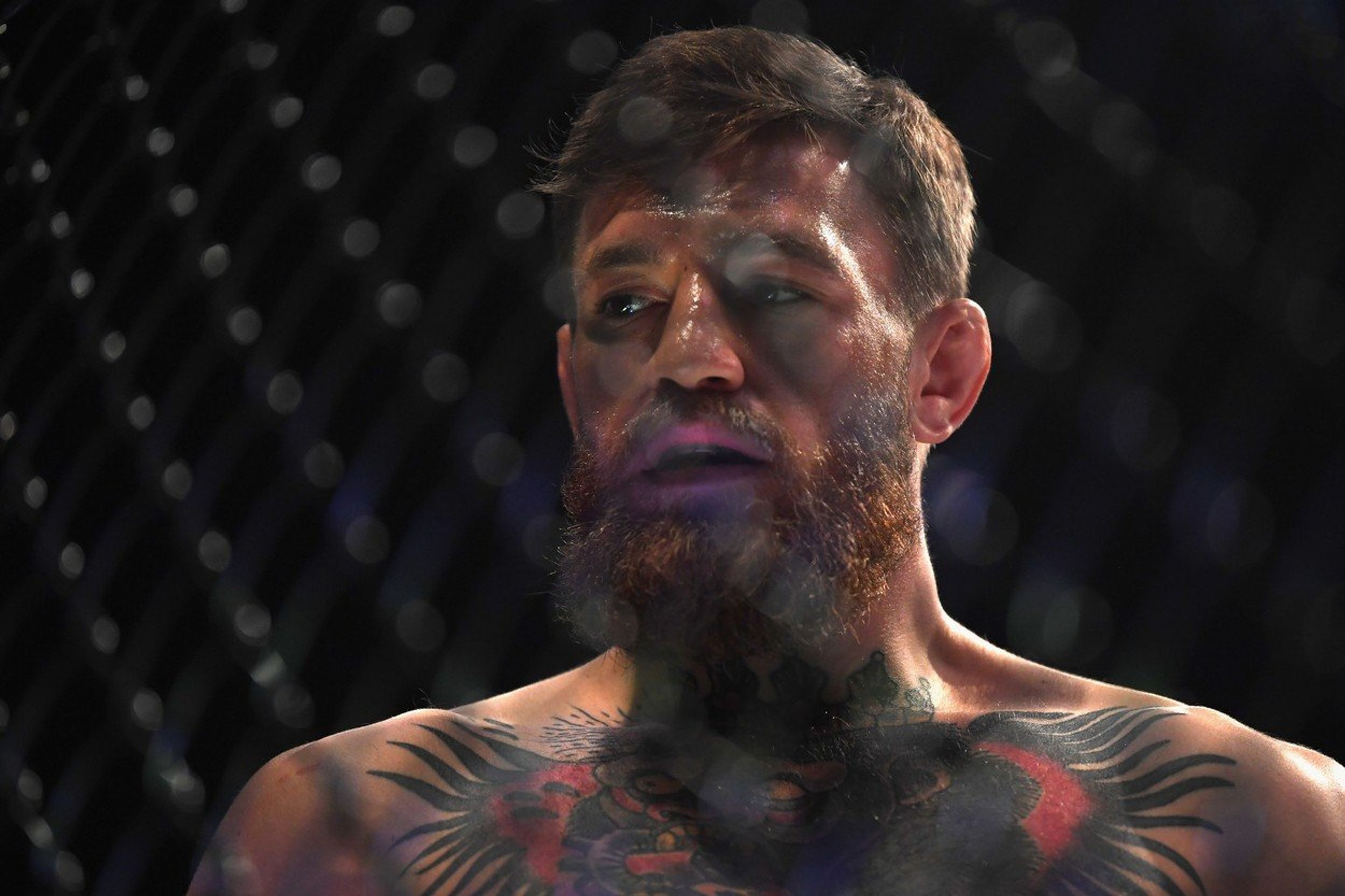 Khabib vs. Conor - GALERIE: Khabib ovládl souboj s McGregorem, pak se strhla bitka (1/4)