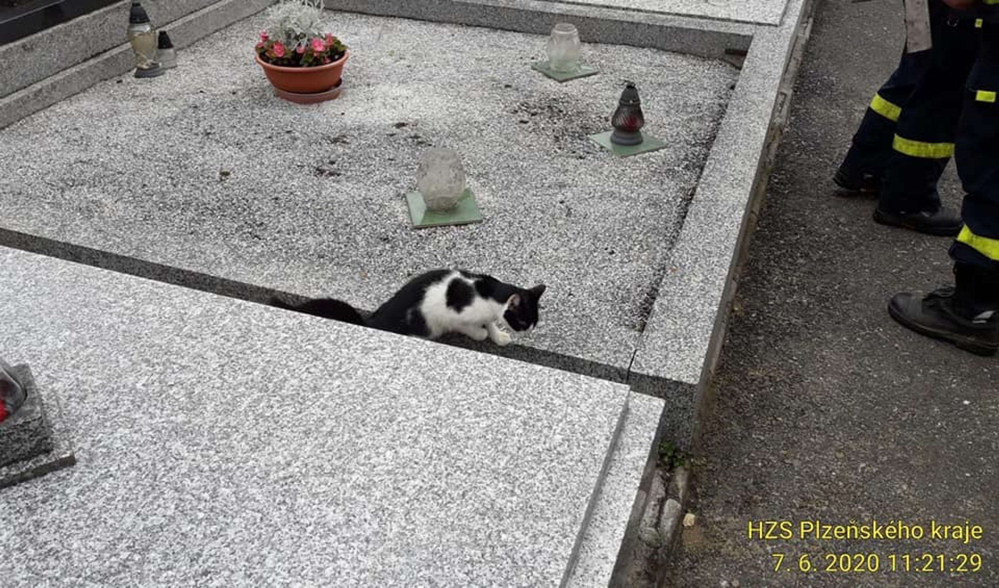 Z hrobu v Horažďovicích se ozývalo mňoukání, hasiči vytáhli ven kočku - 2 - GALERIE: Hasiči zachraňovali psa uvízlého v soutěsce a kočku z hrobu (3/8)