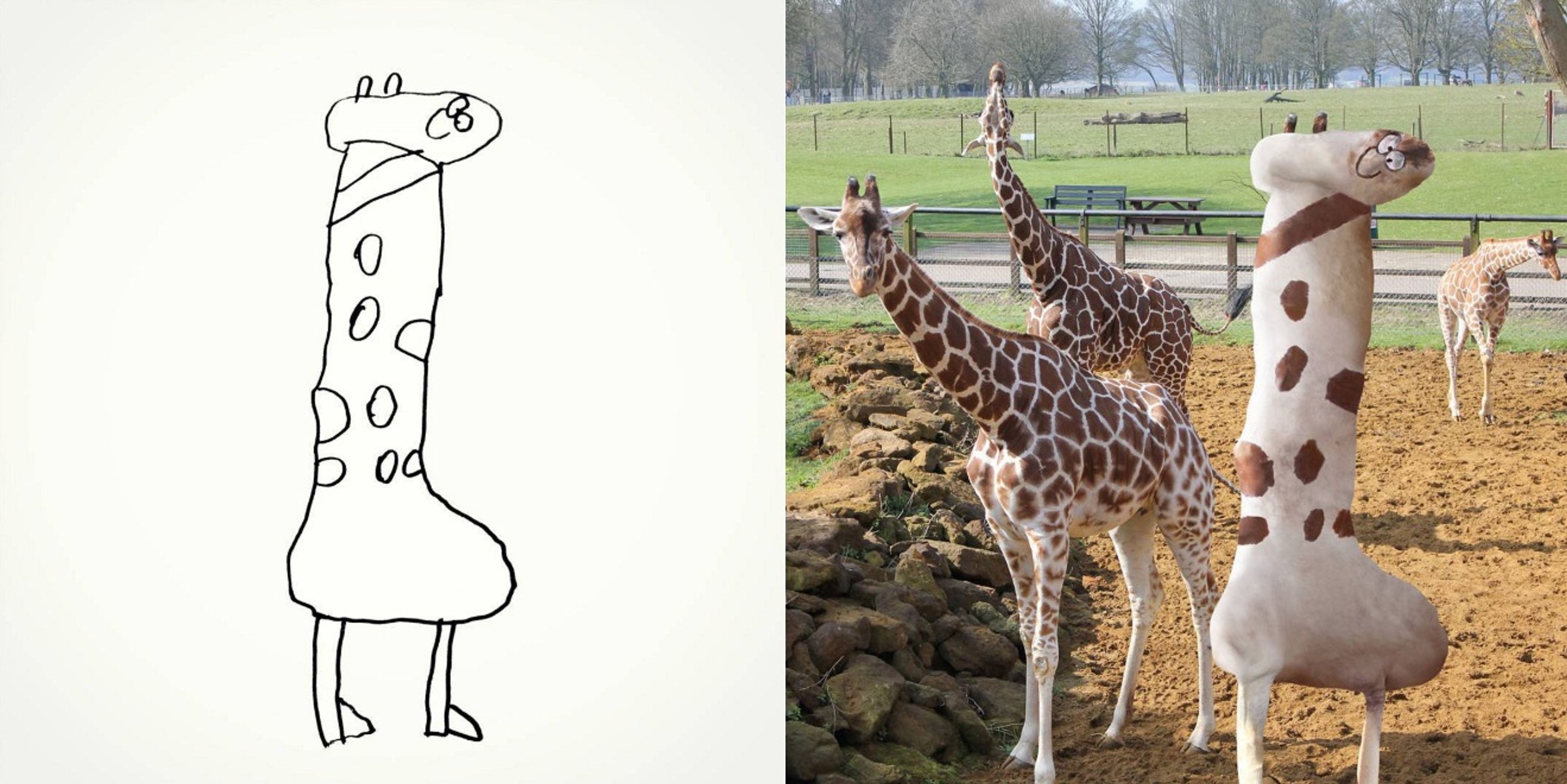Превратились в жирафа. Жираф в полный рост. Превратились в жирафа. Детские рисунки животных в реальности. Превратились в жирафа.