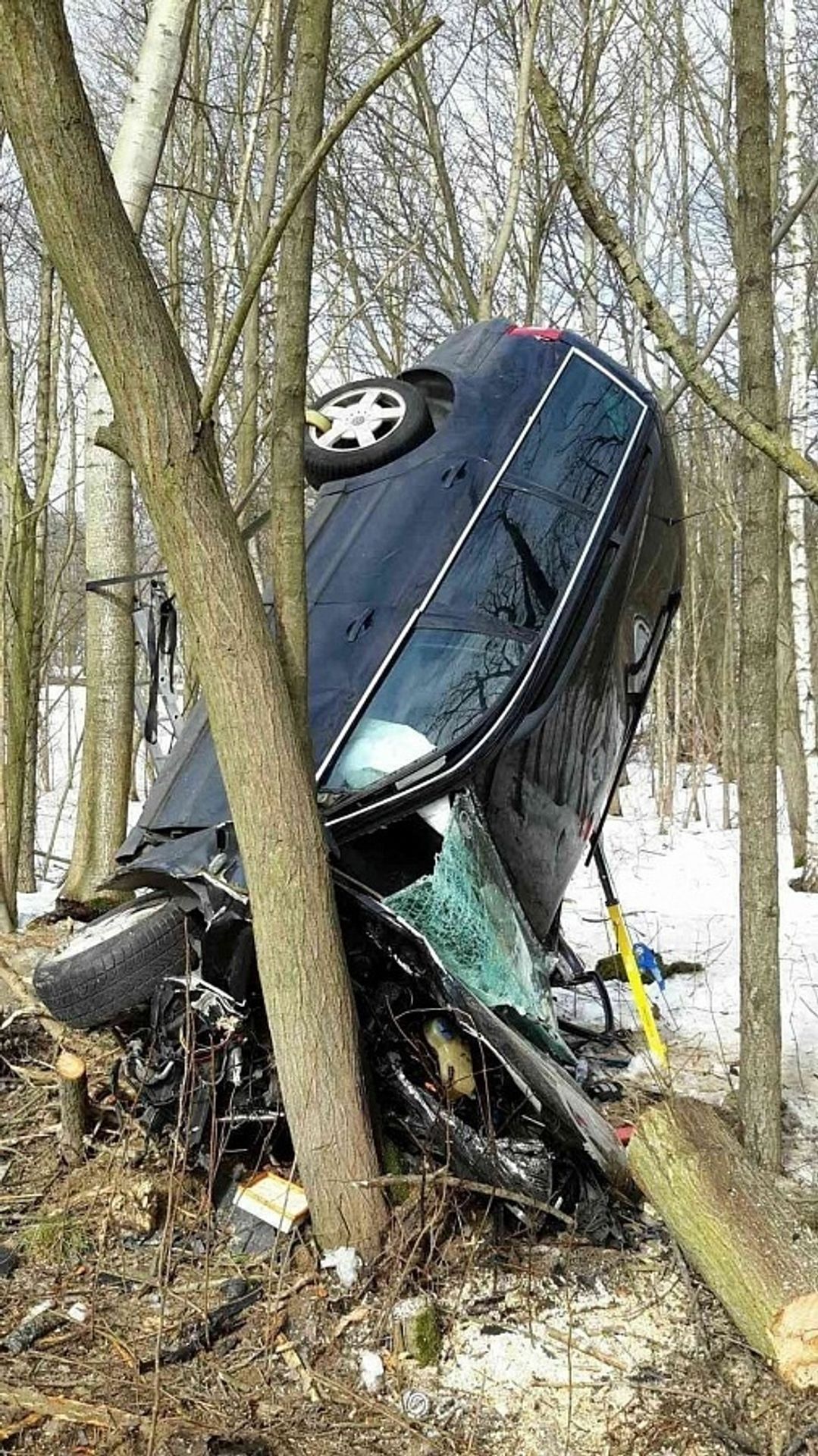 Auto mezi stromy v Boučí - 1 - GALERIE: Auto mezi stromy v Boučí (15/15)