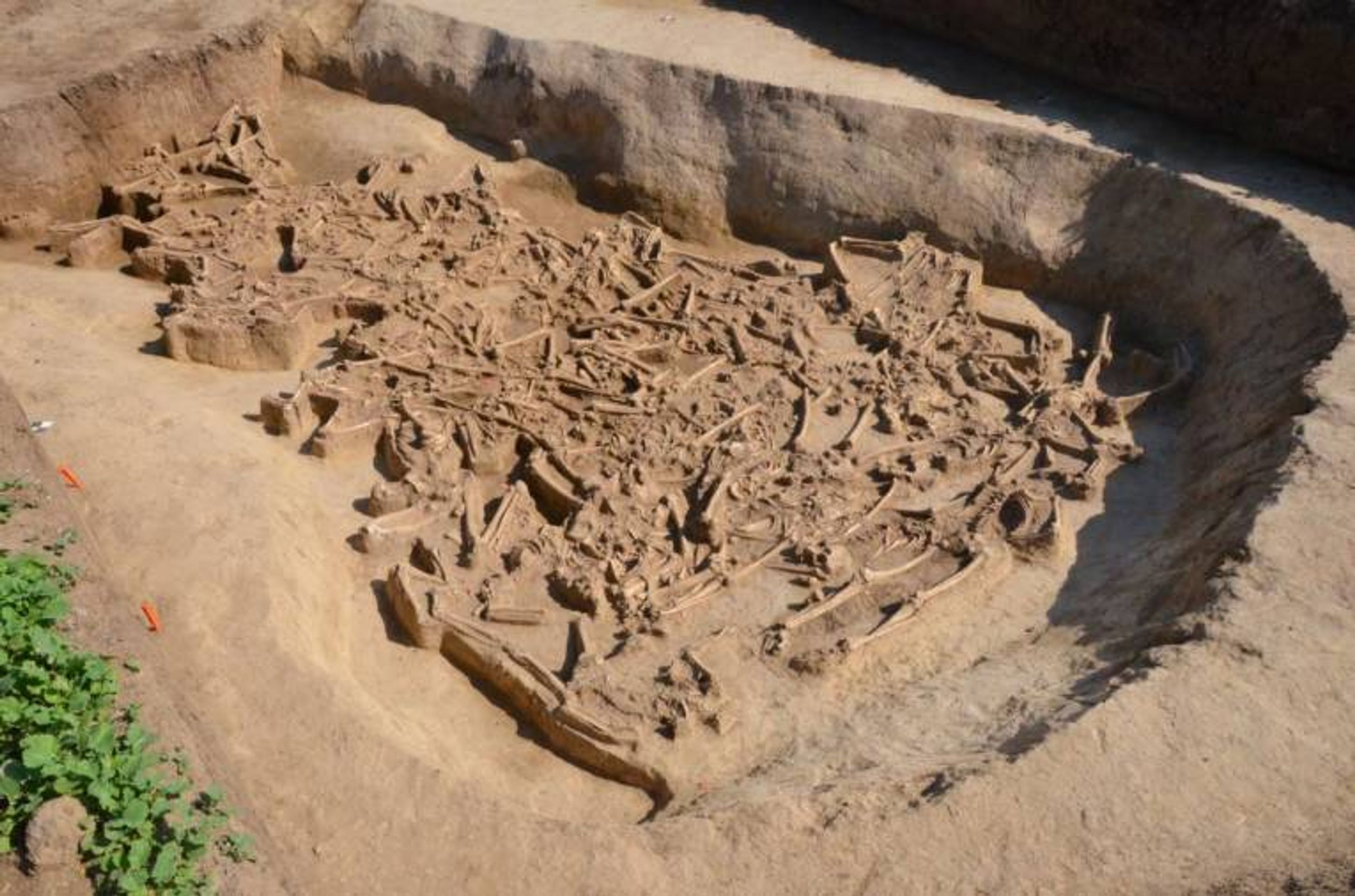 Archeologický nález - Archeologické nálezy nedaleko města Vráble (3/3)