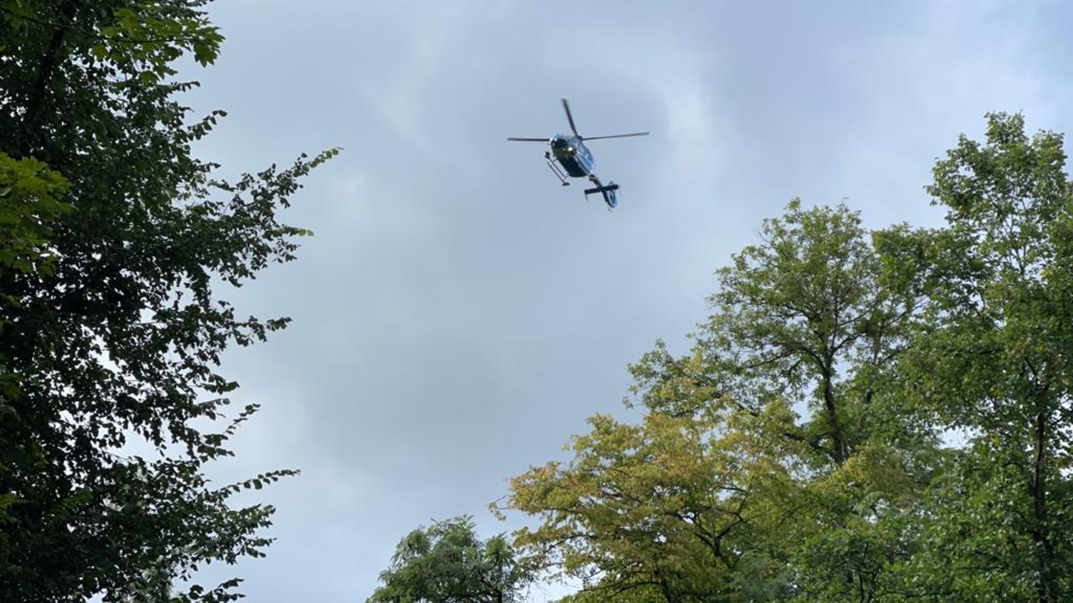 Policisté u Dolních Břežan u Prahy hledají medvěda - 5 - GALERIE: Policisté u Prahy pátrají po medvědovi (4/8)