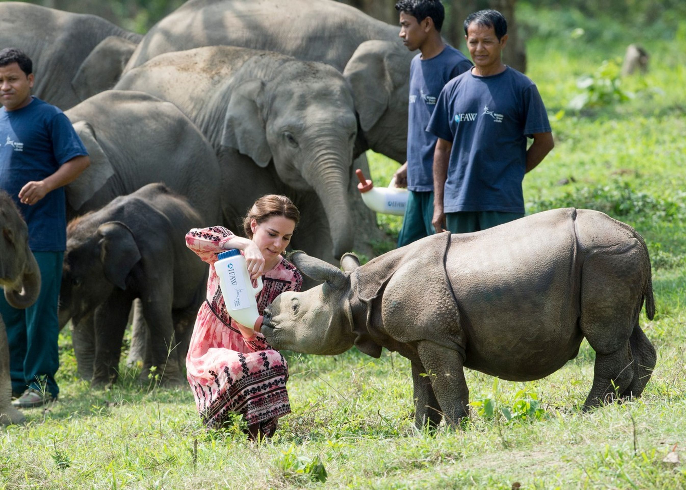Kate a William v záchranné staniciIndii - 4 - GALERIE: Kate a William v záchranné stanici v Indii (4/6)