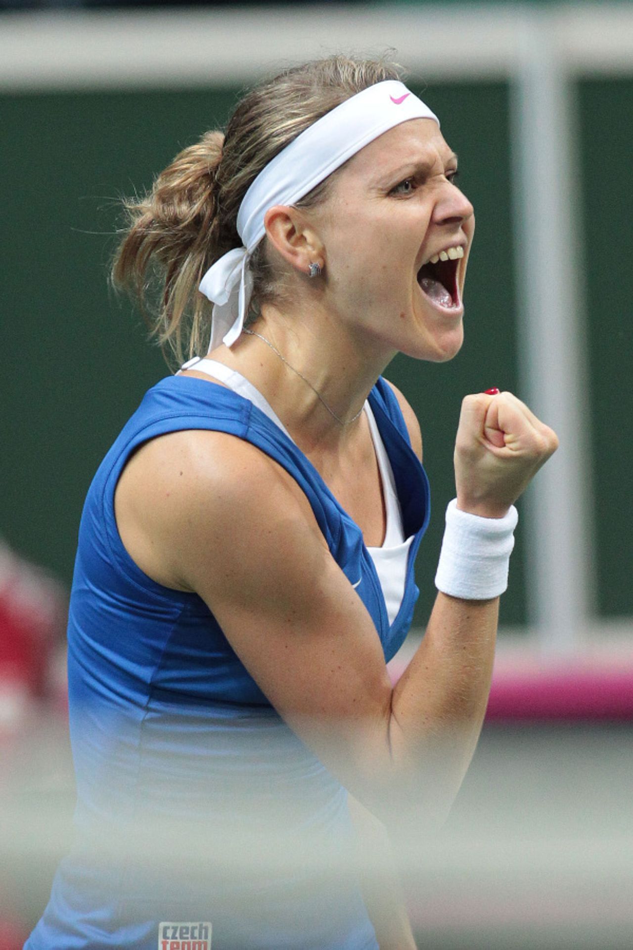 Češky obhájily Fed Cup - 4 - GALERIE: Češky obhájily Fed Cup (5/19)