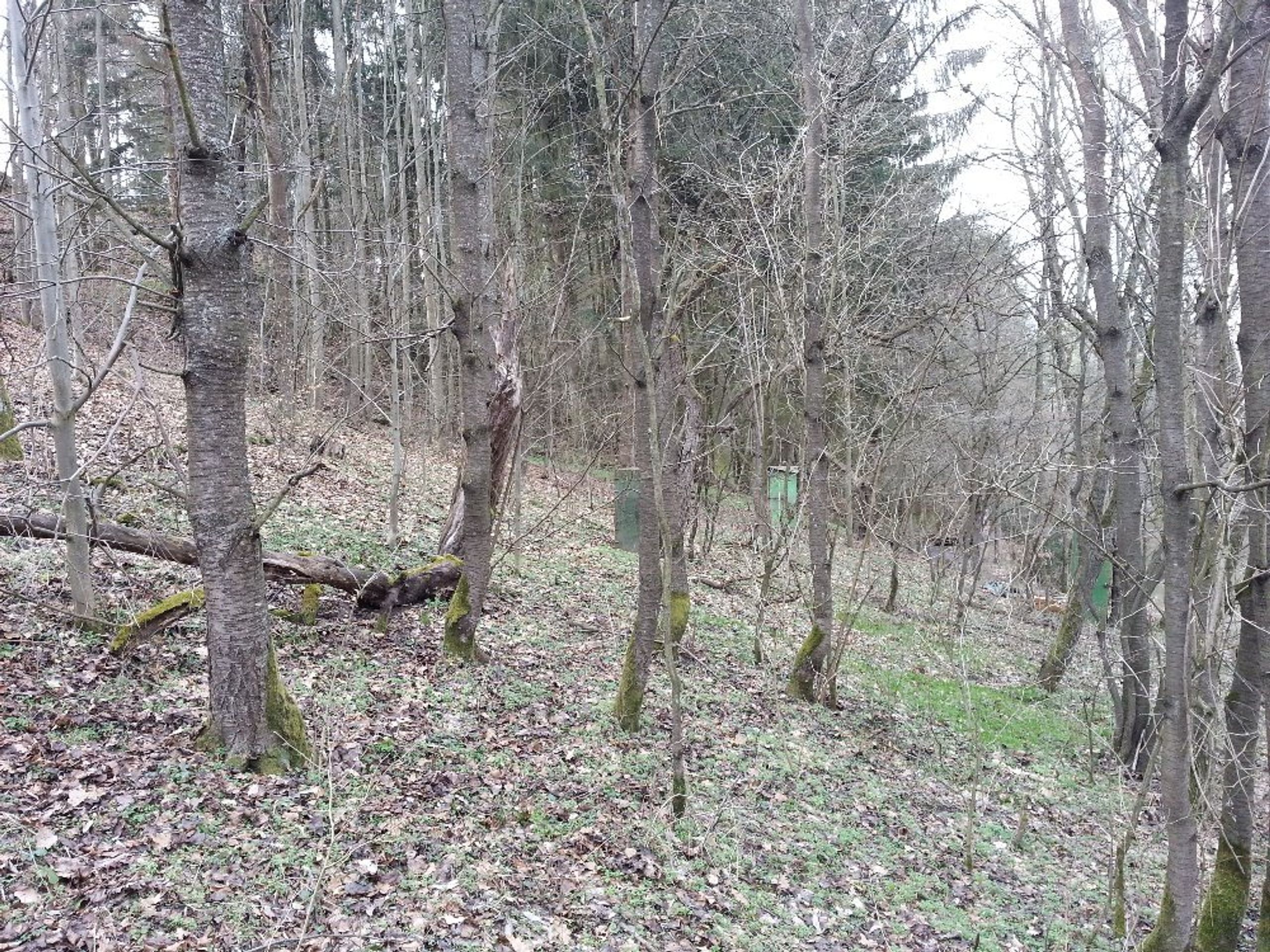 Dražby nemovitostí - Dražba pozemku, okr. Písek - GALERIE: Dražby nemovitostí (39/46)