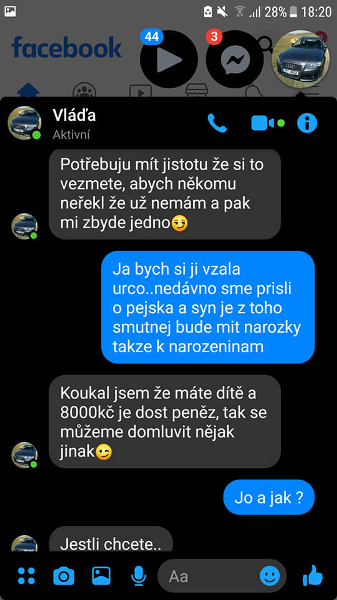 Chtěla koupit štěně - on žádal sex - GALERIE: Chtěla koupit štěně, podvodník žádal sex (3/4)