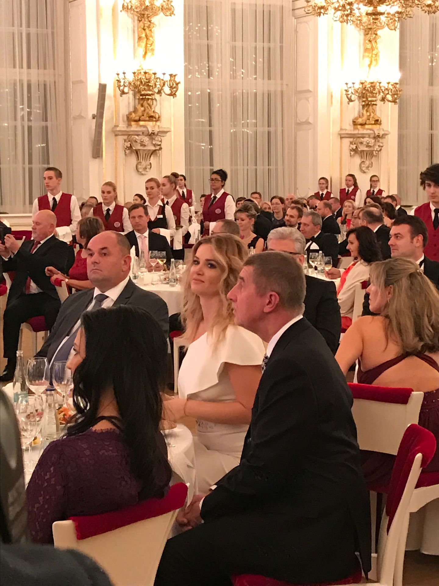 Reprezentační ples prezidenta ČR - Galerie: Reprezentační ples prezidenta ČR (6/6)
