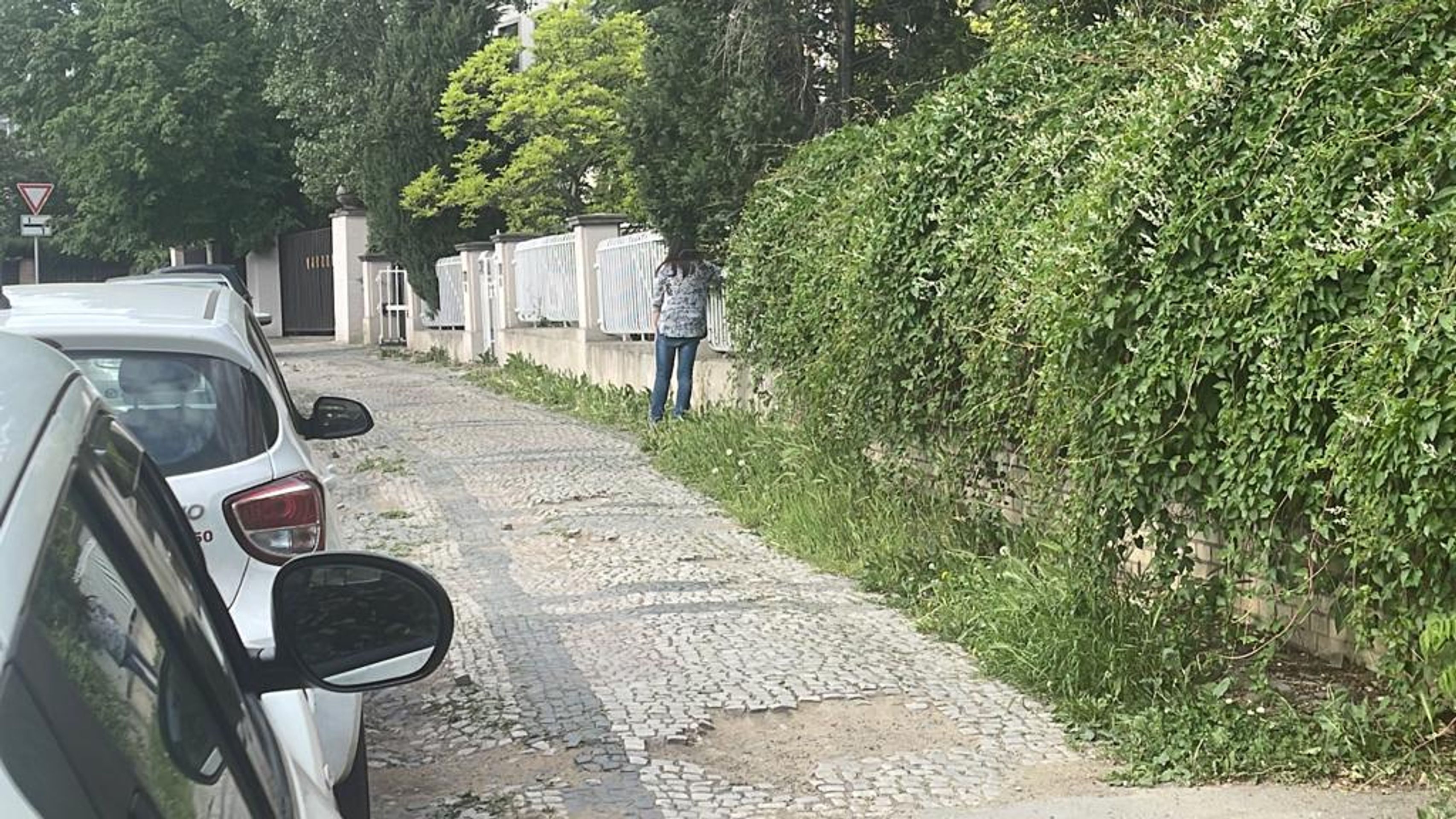 Dáda Patrasová se po nehodě válela na ulici - Dagmar Patrasová se po nehodě válela na ulici (5/5)