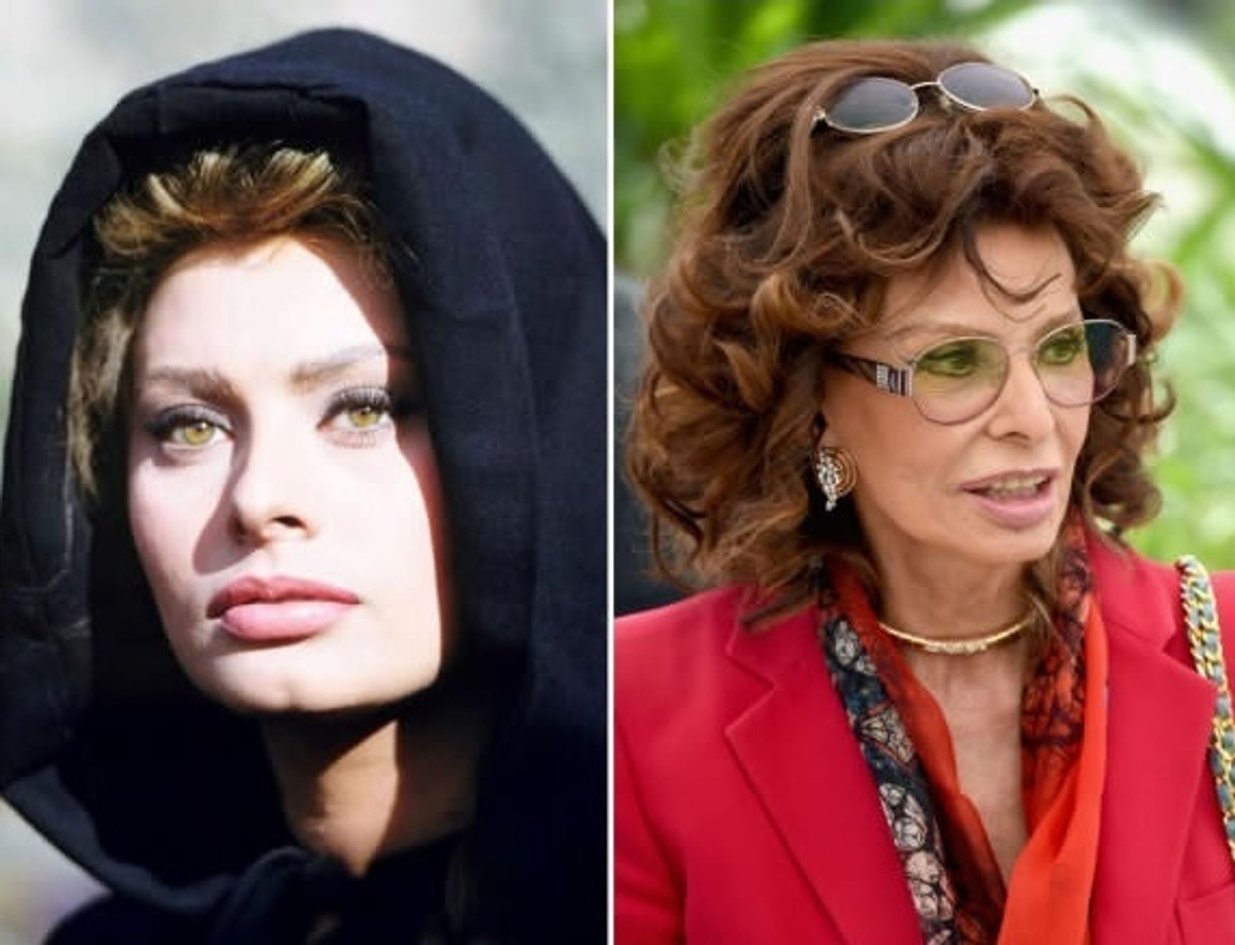 Sophia Loren - GALERIE: Hollywoodské herečky, které nestárnou (15/15)