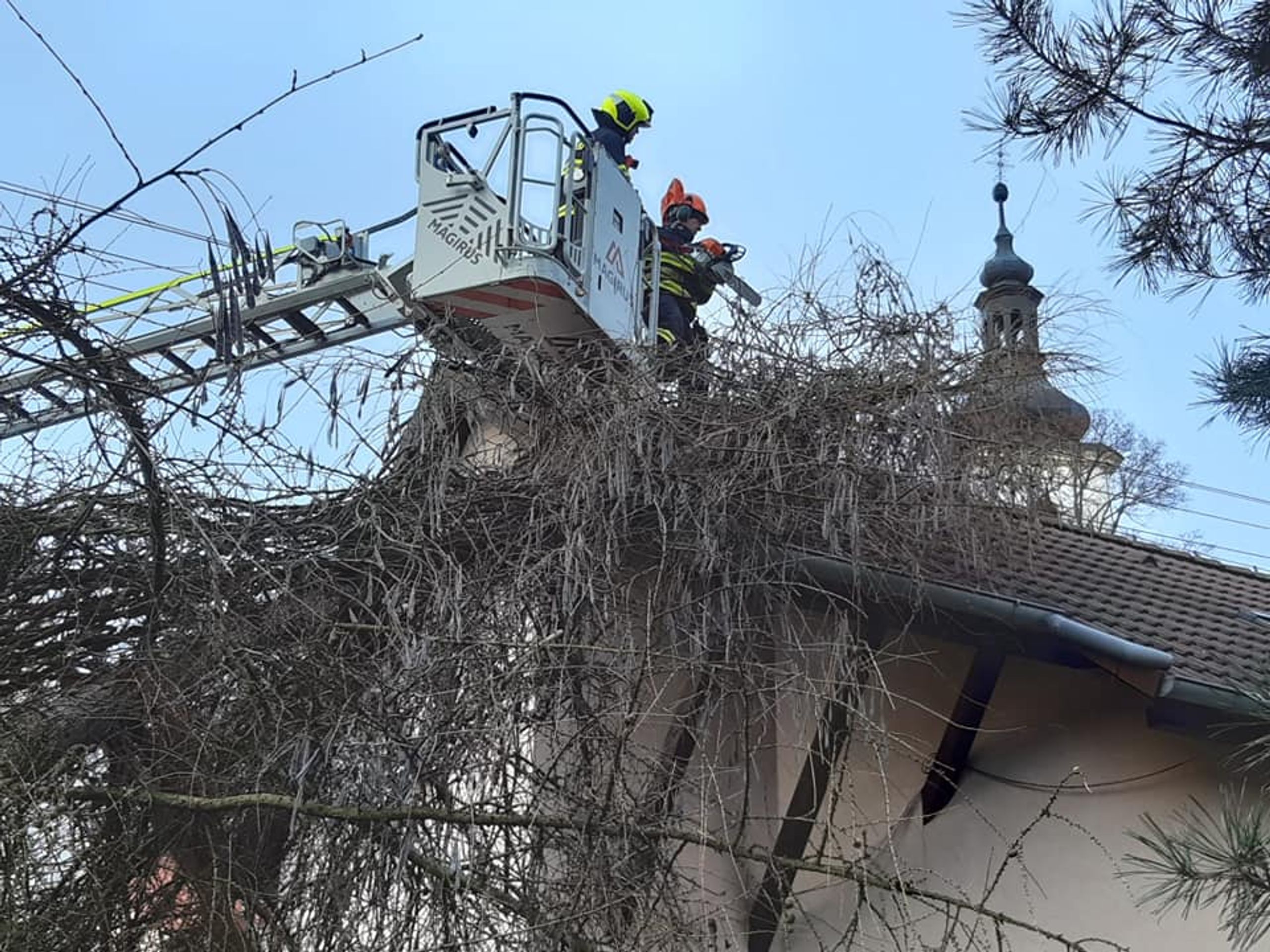 Padlý strom v Ústeckém kraji - Strom spadl na dům (1/3)