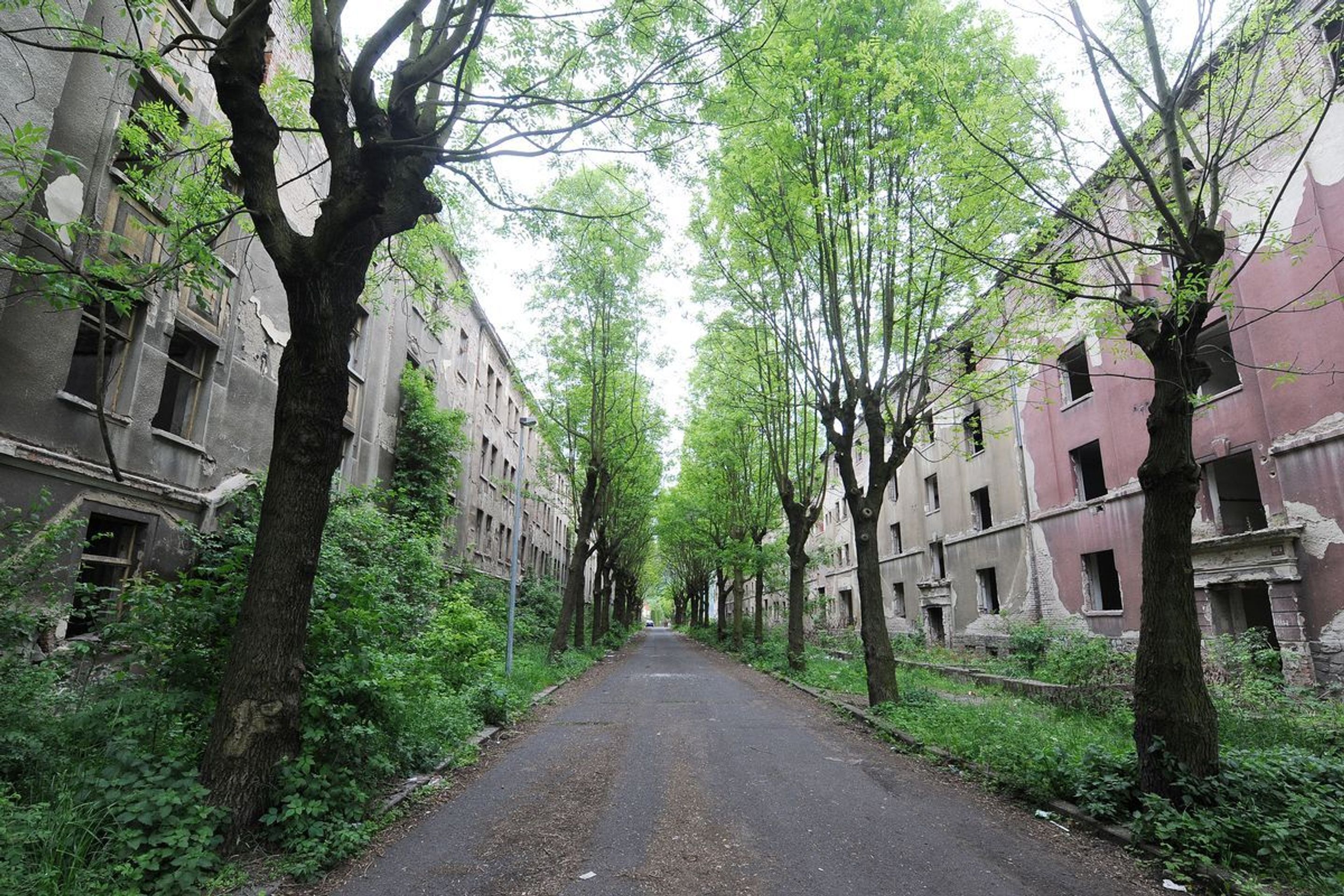 Opuštěná ulice v Ústí nad Labem - 6 - GALERIE: Opuštěná ulice v Ústí nad Labem (1/22)