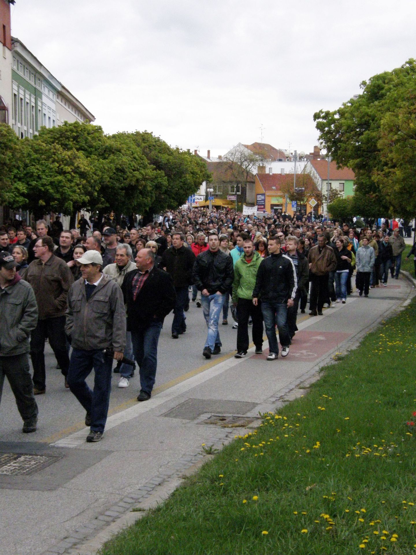 Demonstrace - Pochod a demonstrace v Břeclavi (4/17)