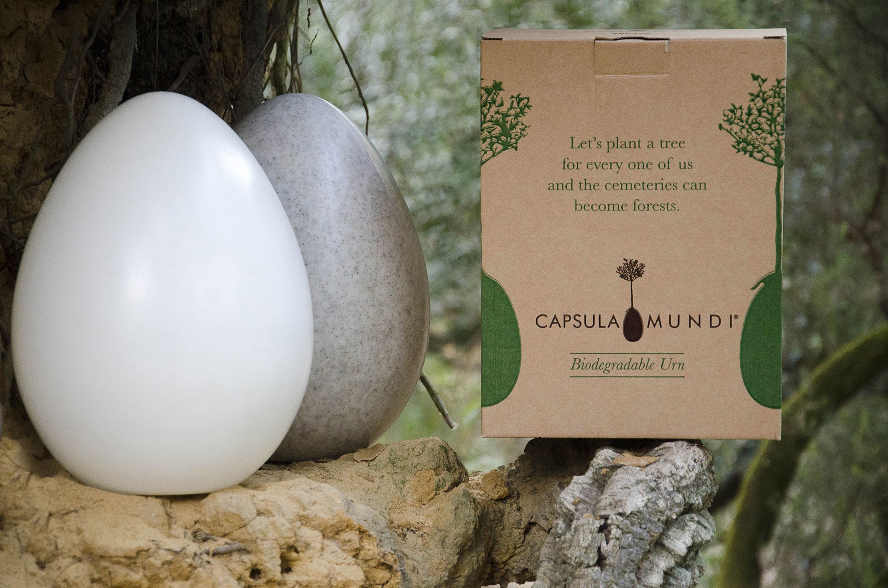 Capsula Mundi - 15 - GALERIE: Capsula Mundi (14/15)